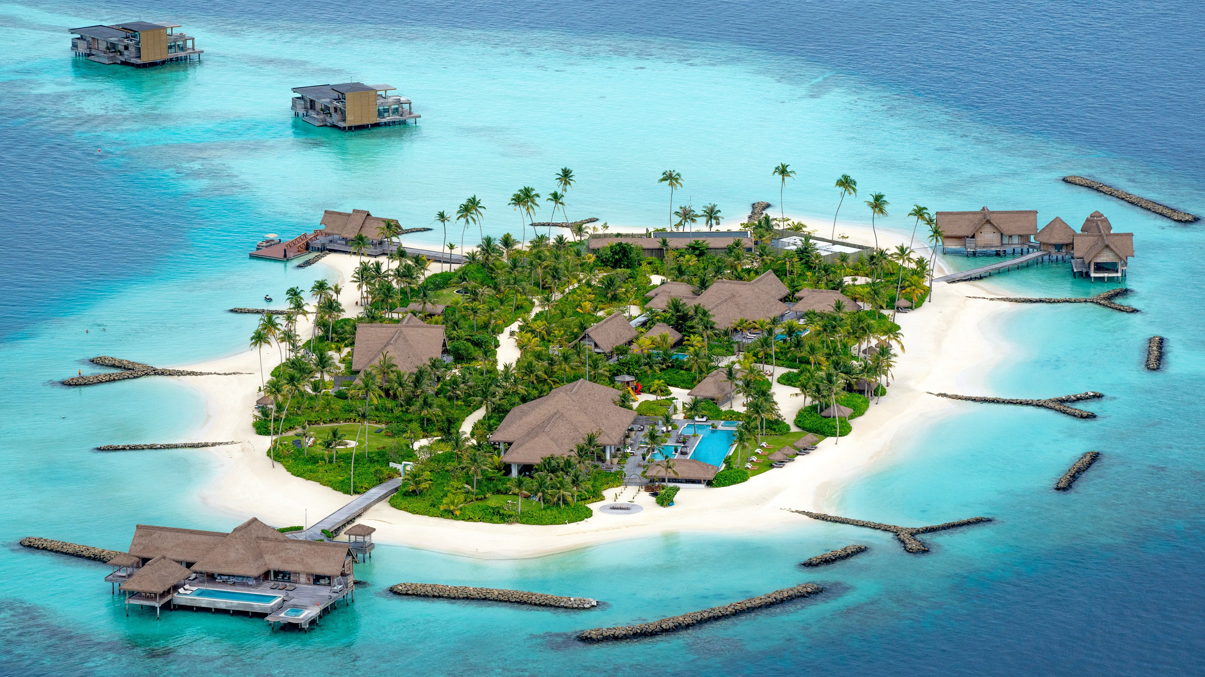 海洋天堂,海岛,度假村,椰树