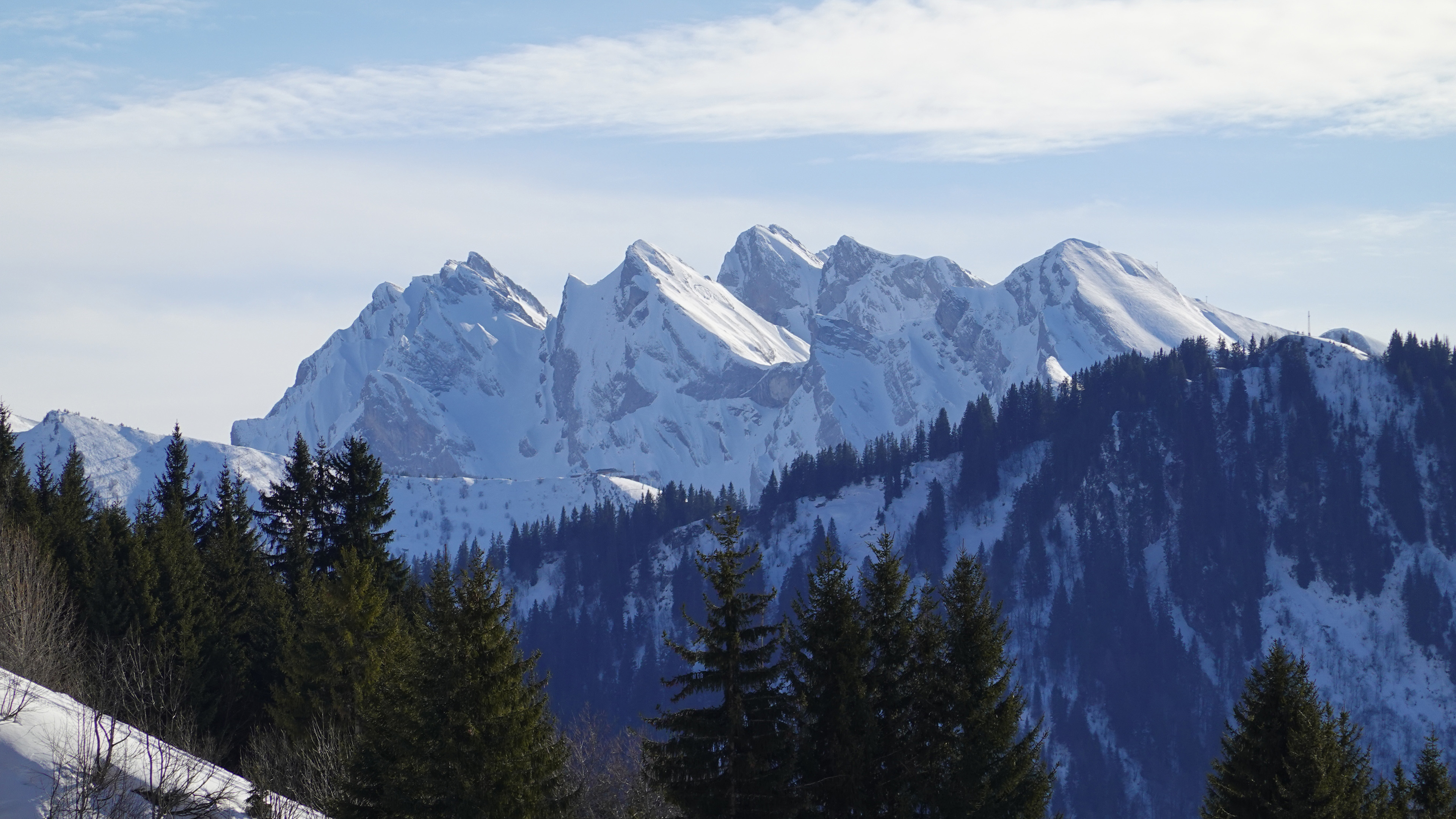冰天雪地,雪山,树林,山峰