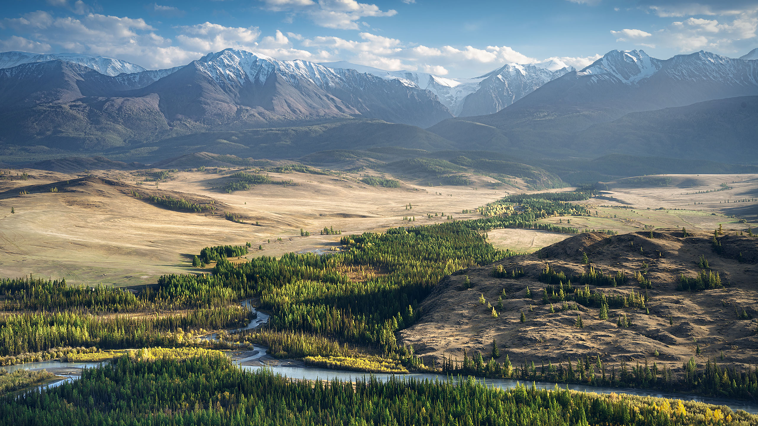雪山,树林,大江,沙丘
