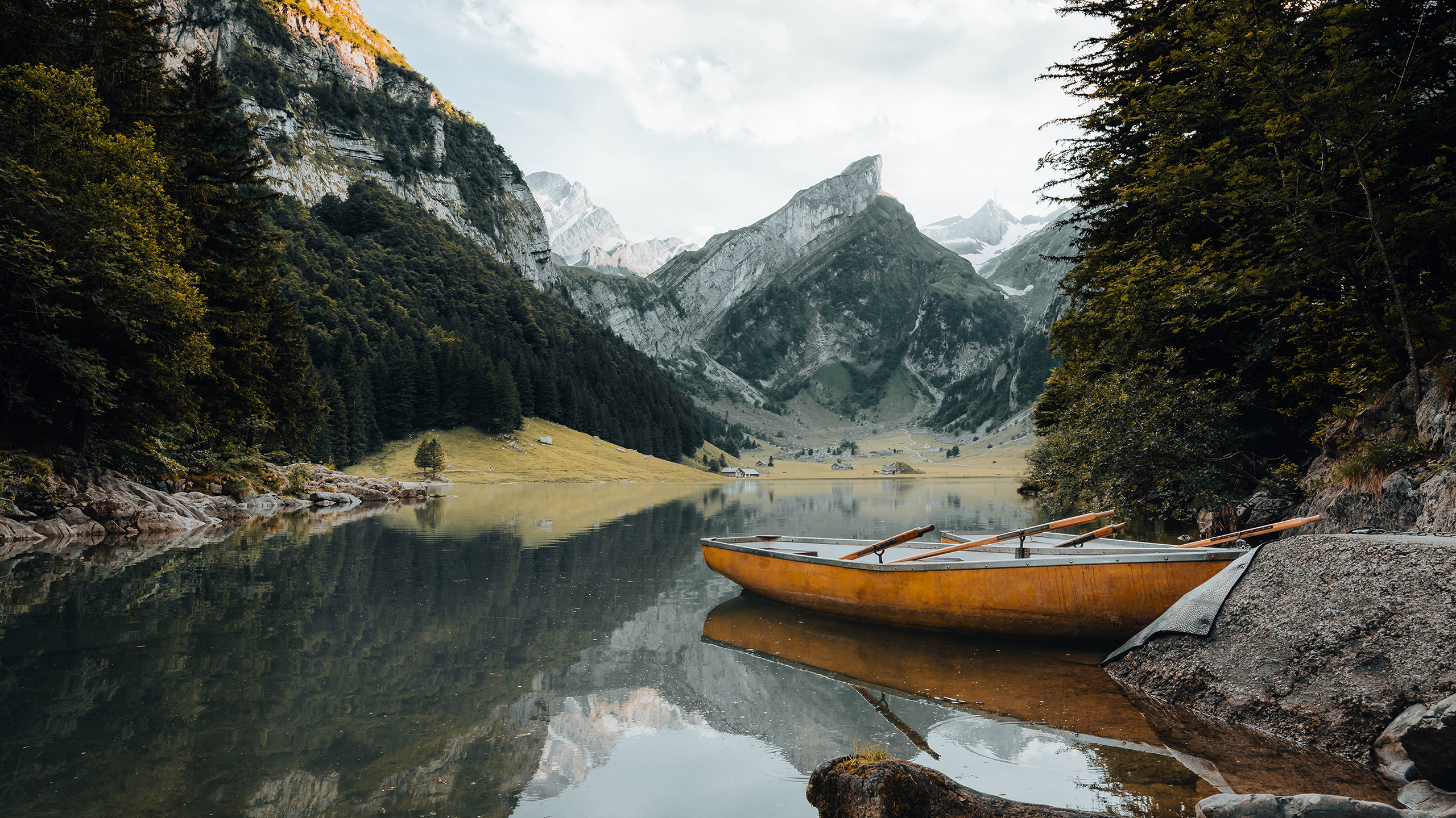 自然风光,雪山,小船,树林
