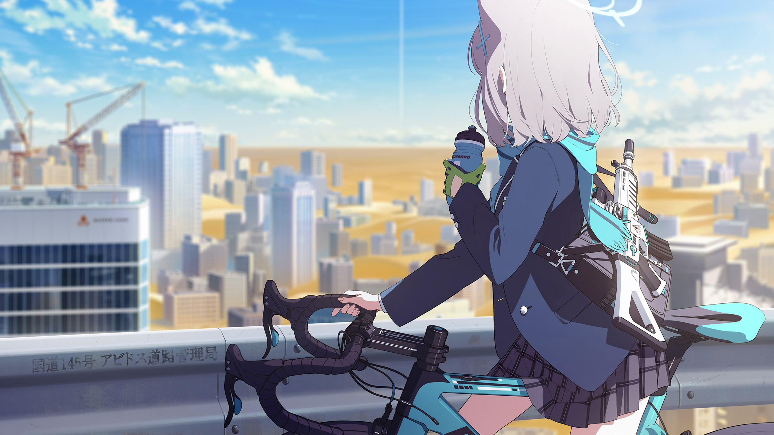 自行车,武器,国道,巡逻