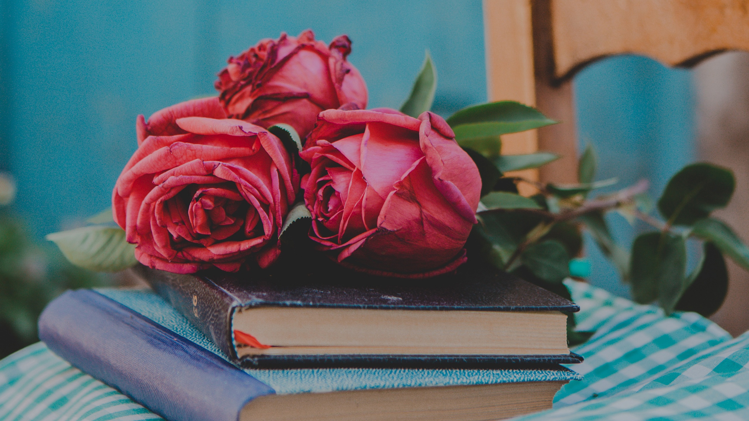 静物写真,书本,玫瑰