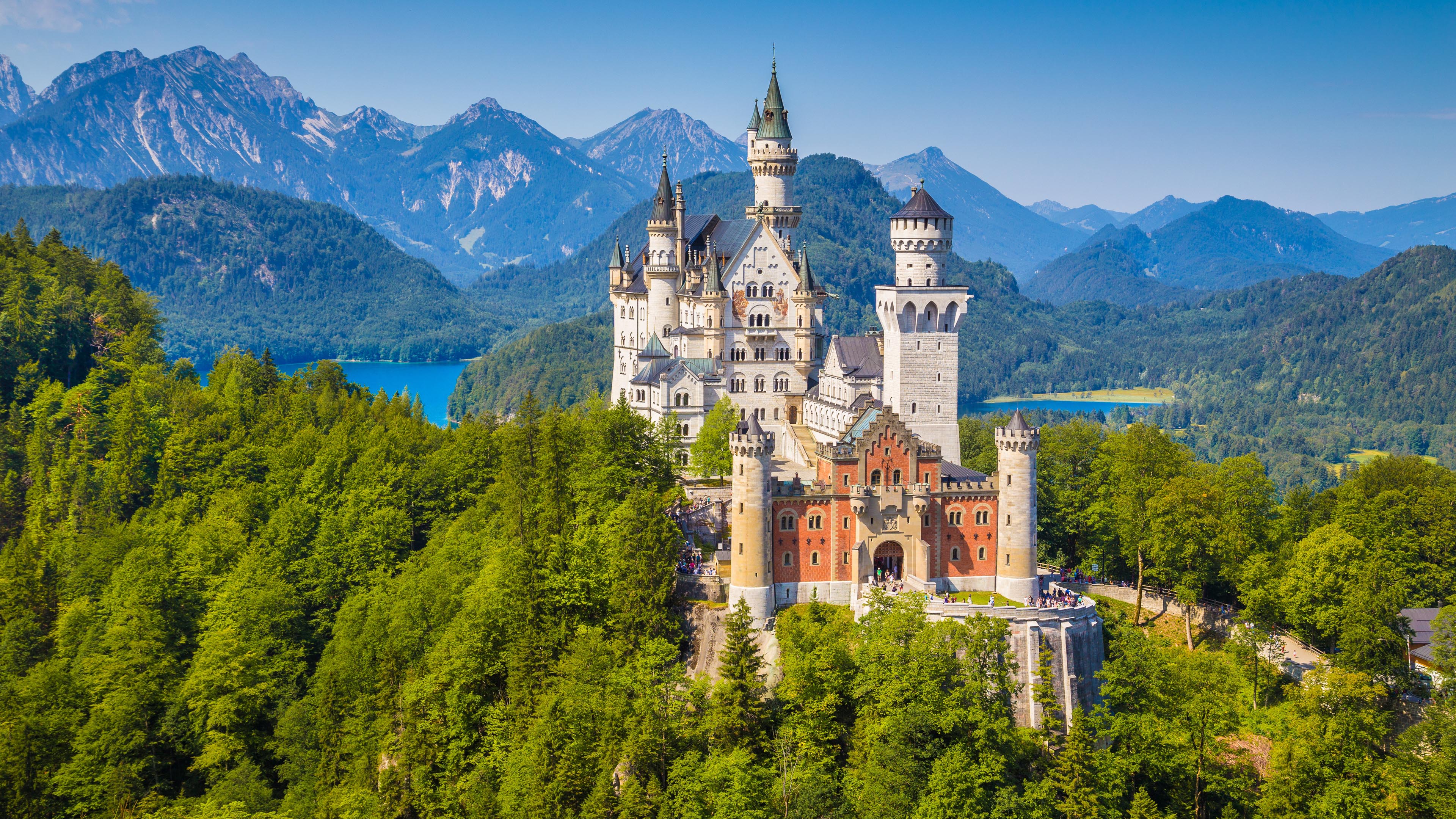 城堡,德国,深林,建筑