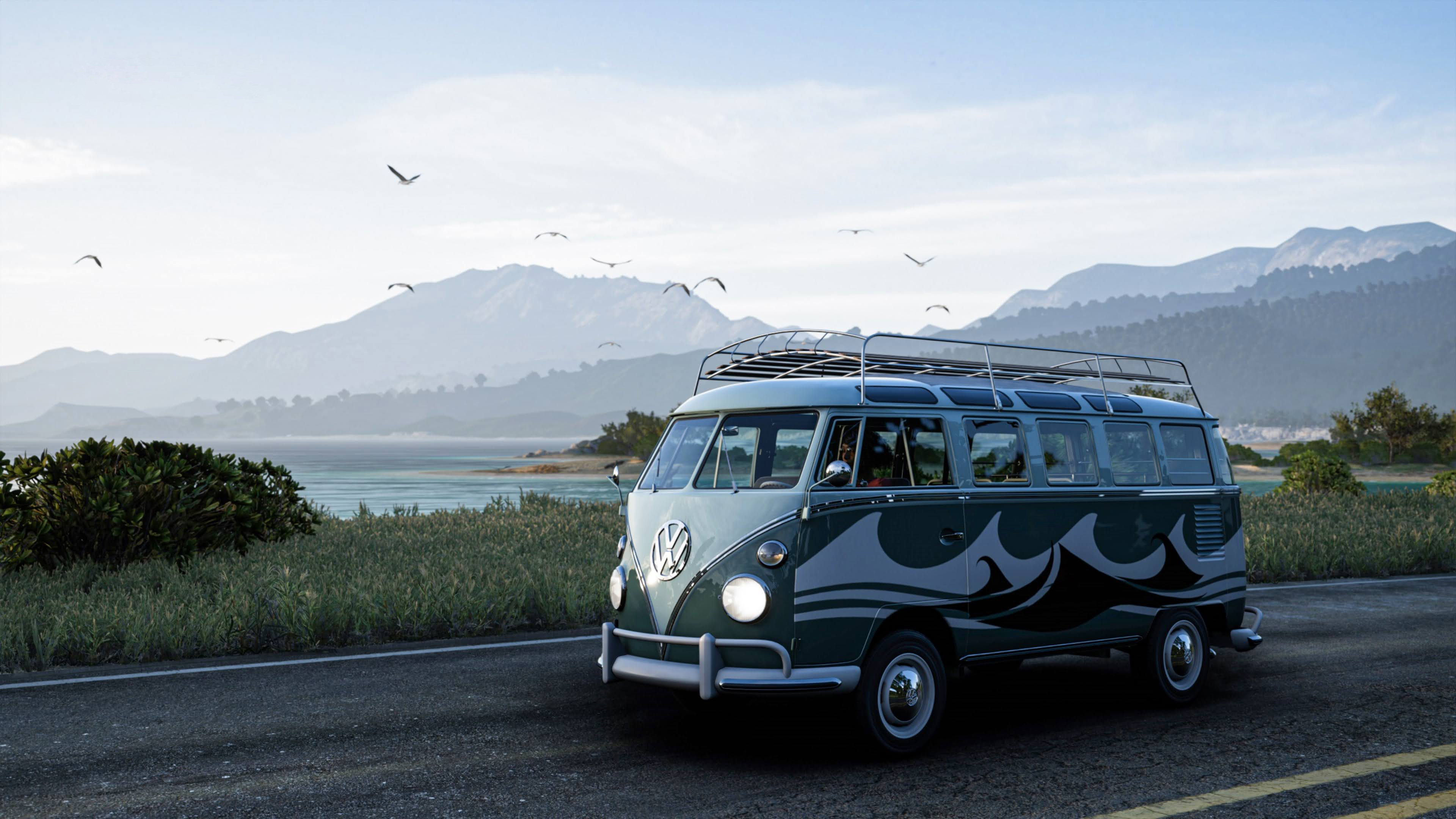 大众,bus,旅程,可爱,公路,海鸥