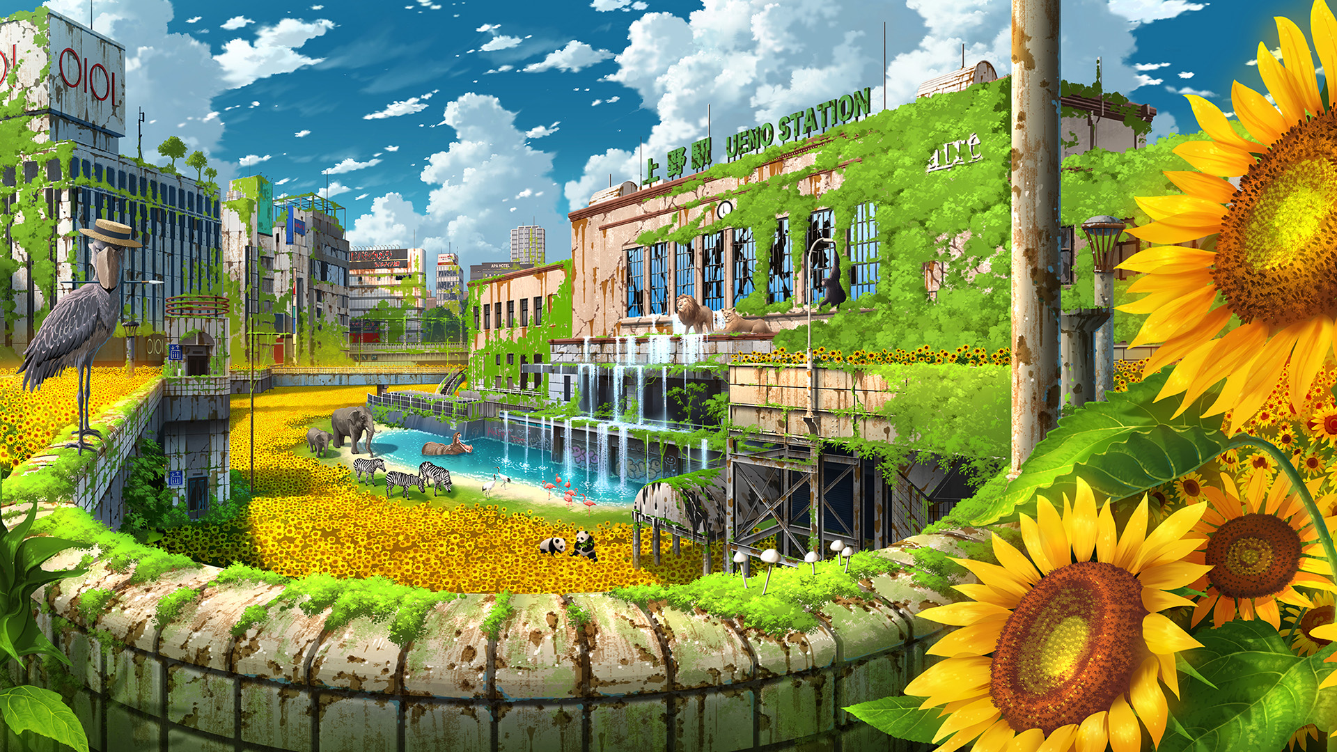 废弃城市,向日葵,熊猫,青苔