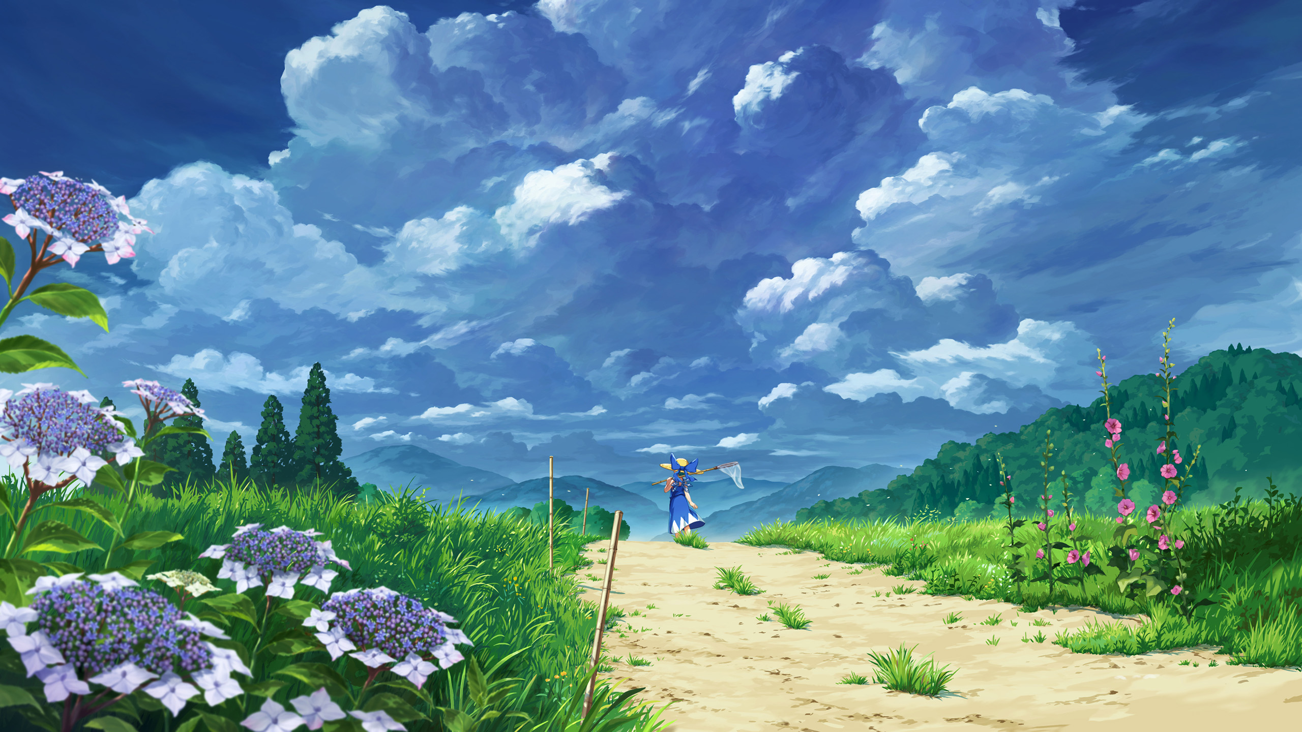 郊外,野花,乡村,云朵