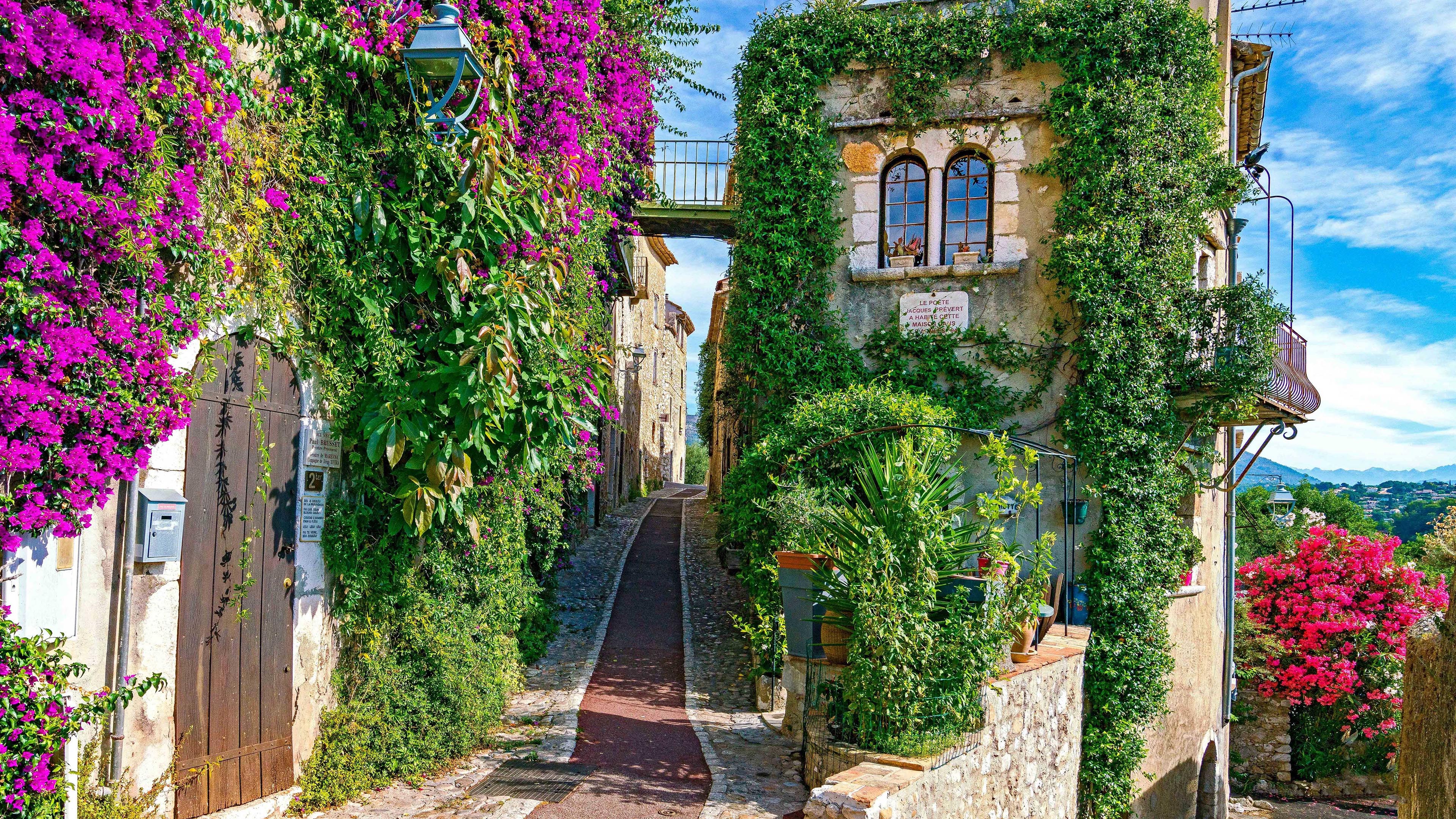 城市,建筑,花园,古城