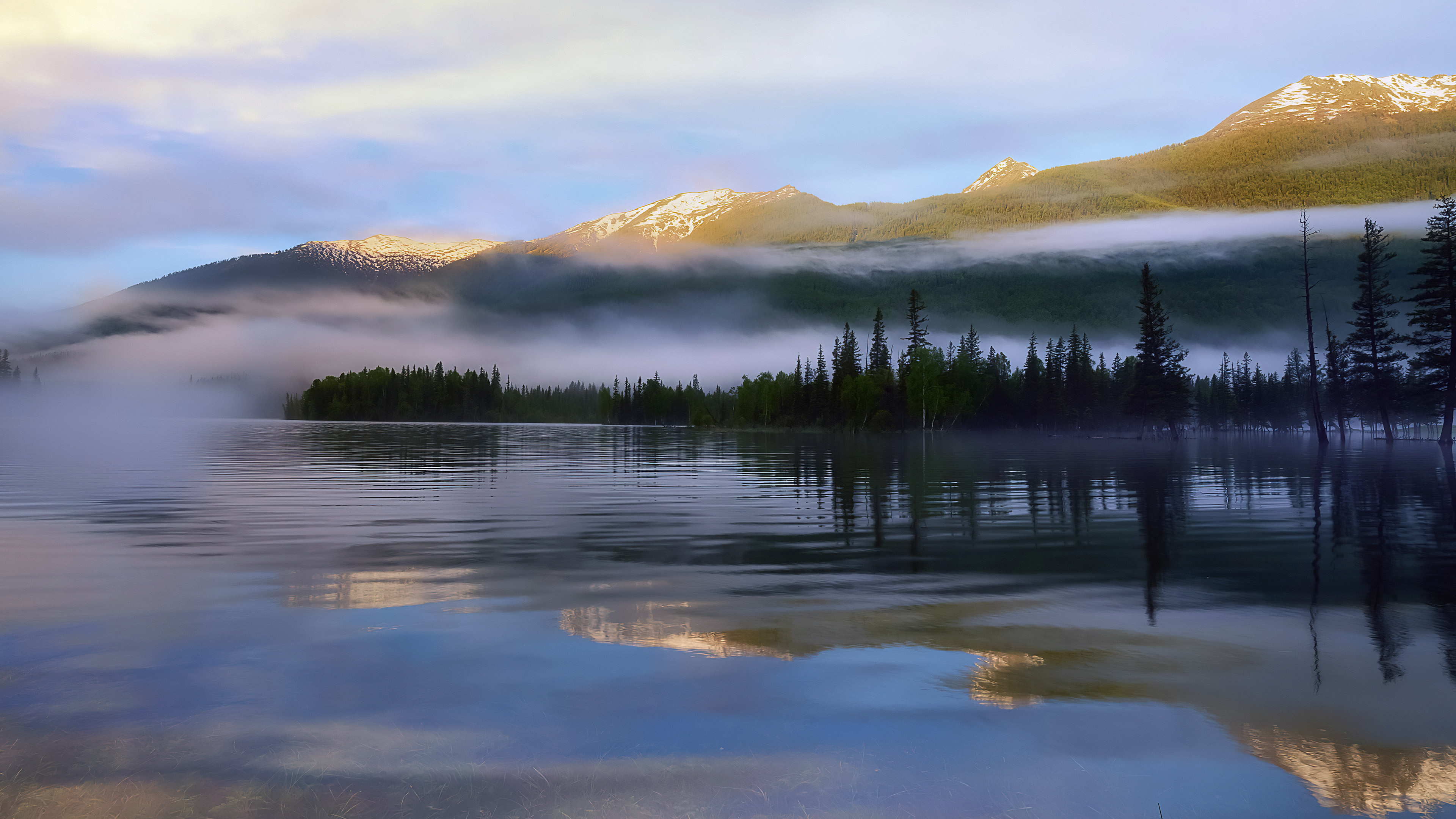 自然风光,迷雾,倒影,树林,神秘