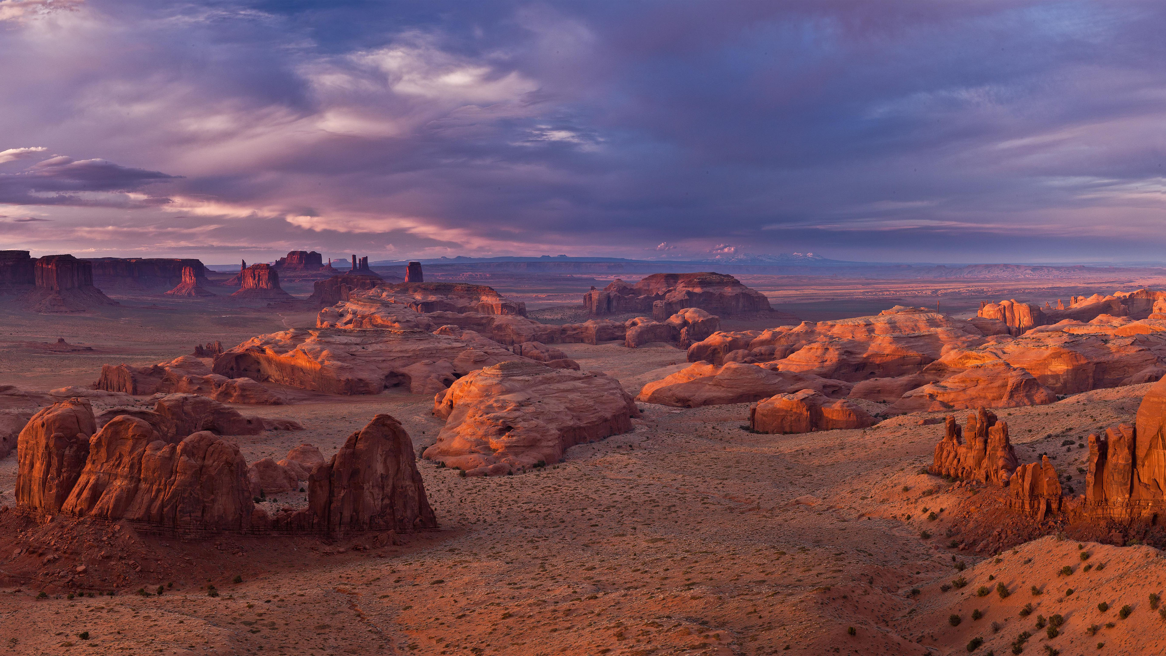 自然风光,美国,沙漠