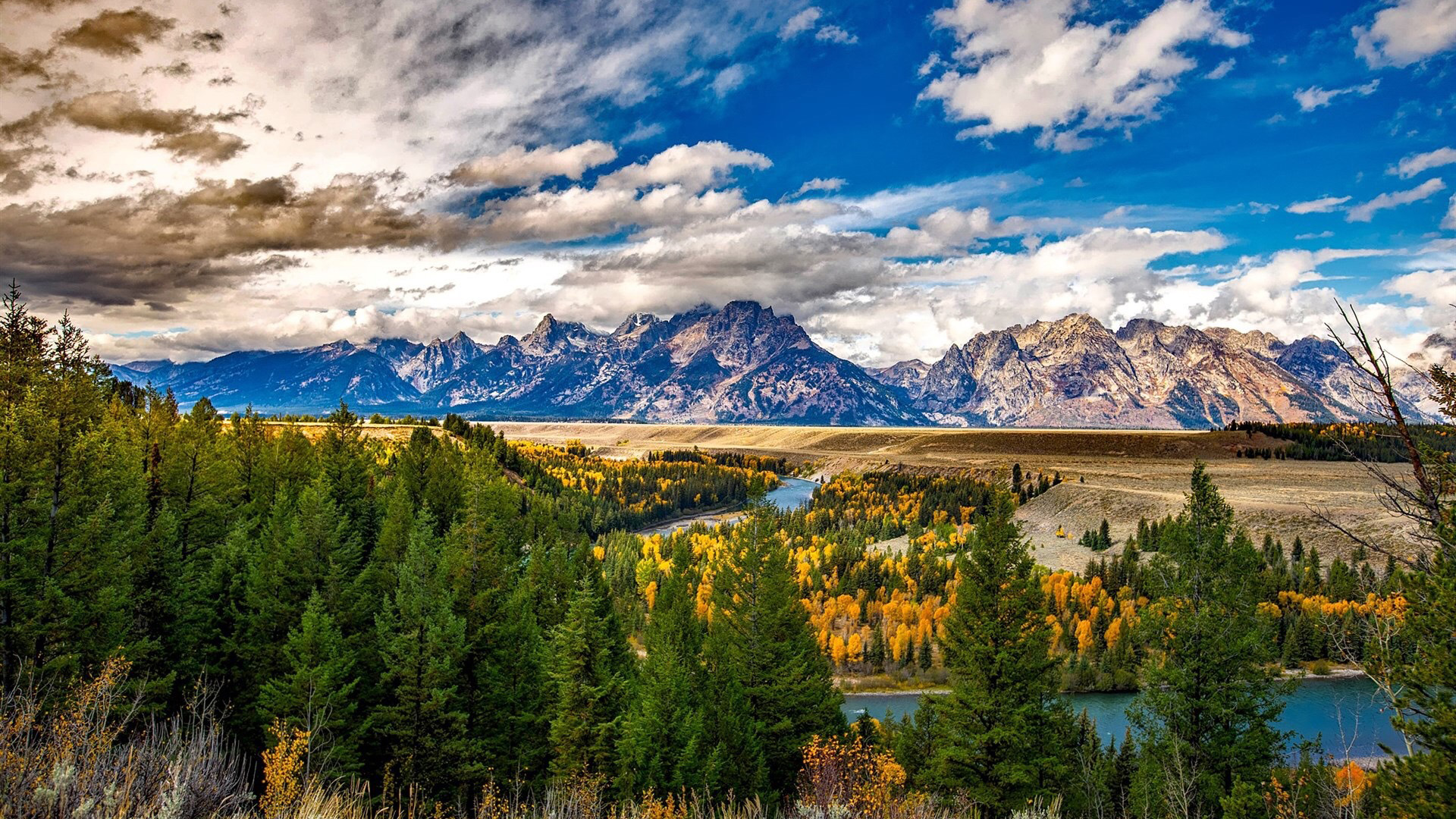 自然风光,树林,云朵,美丽风景