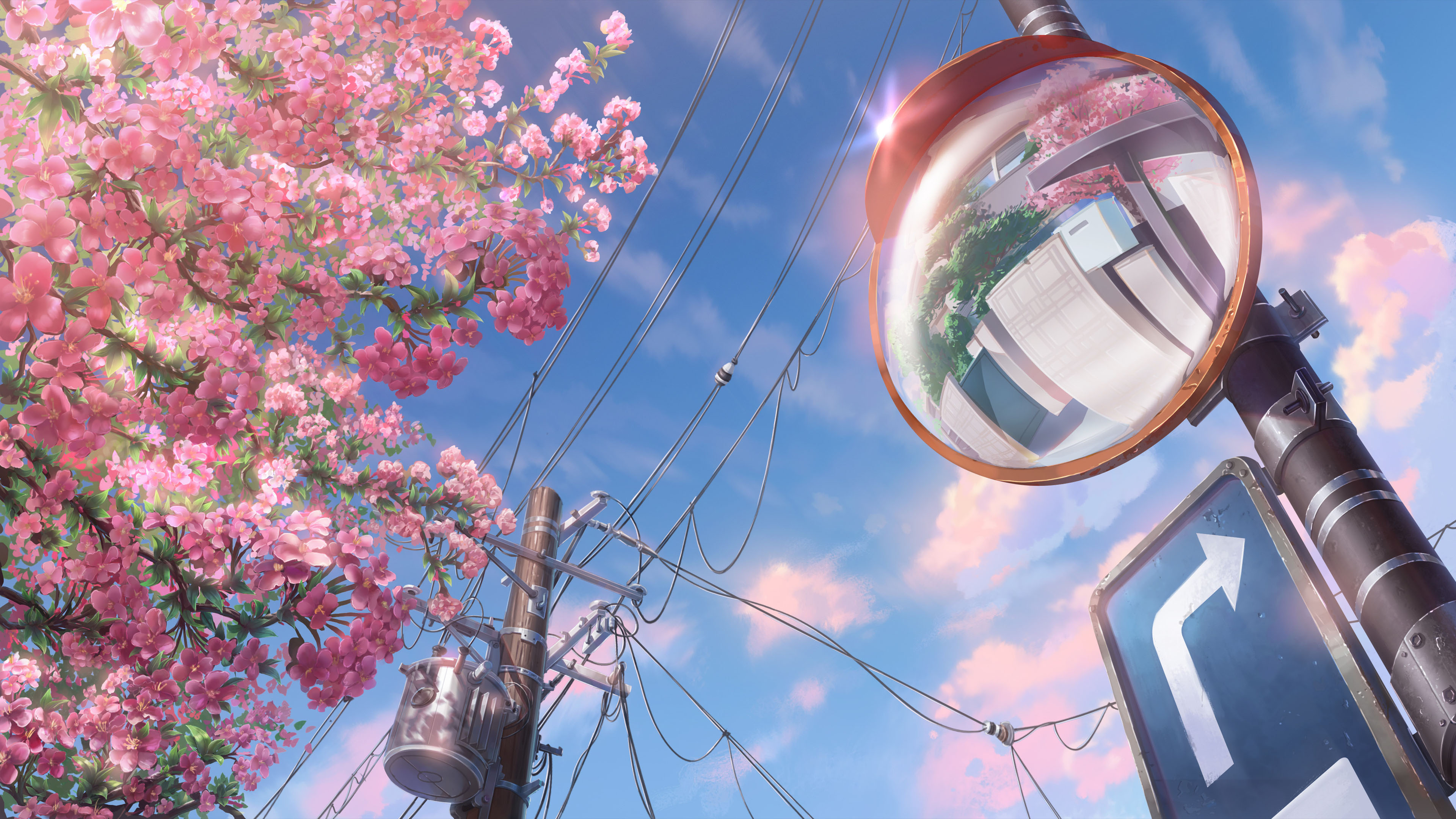 樱花,街道,反光镜,电线杆