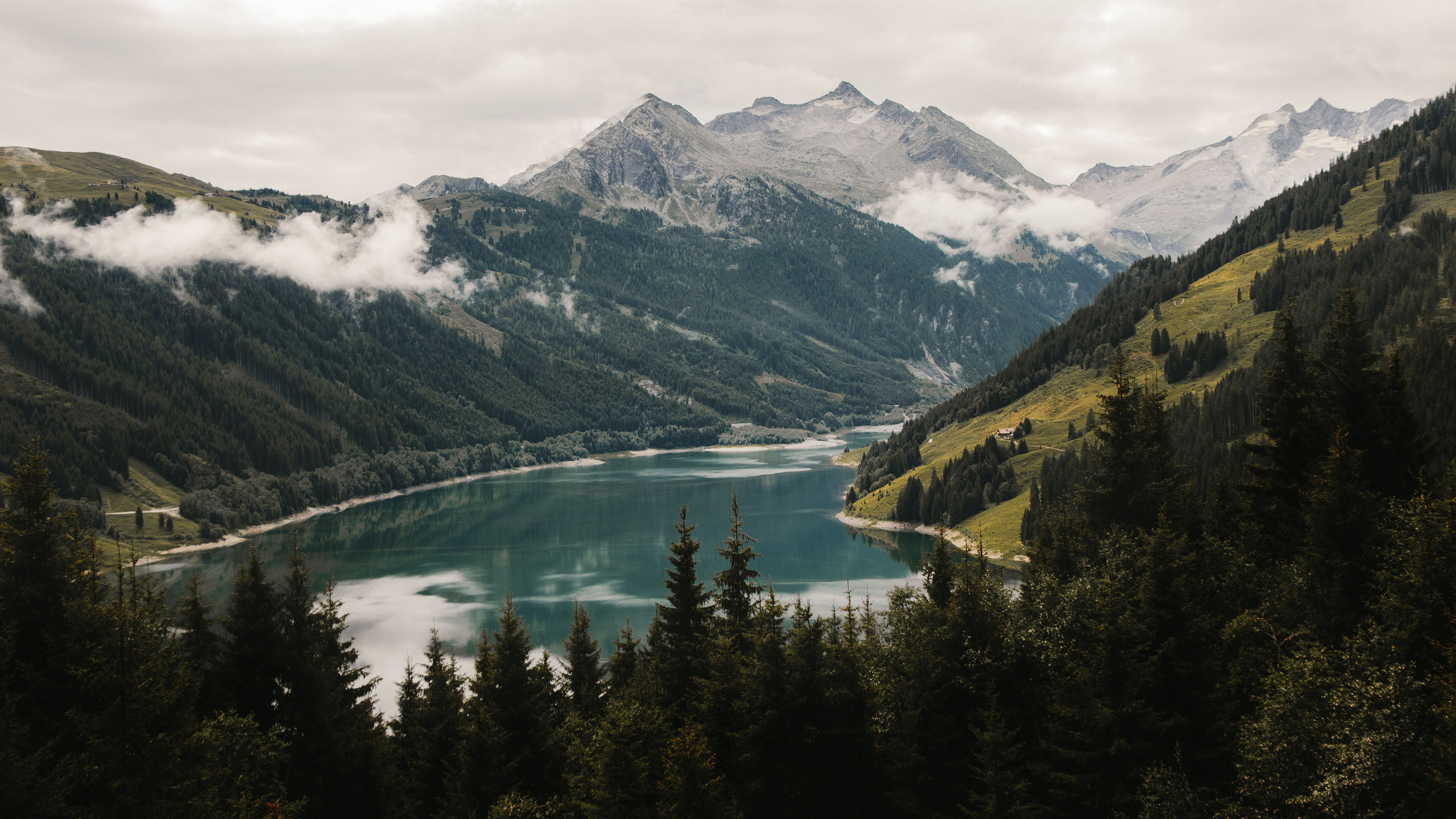 自然风光,树林,雪山,江水