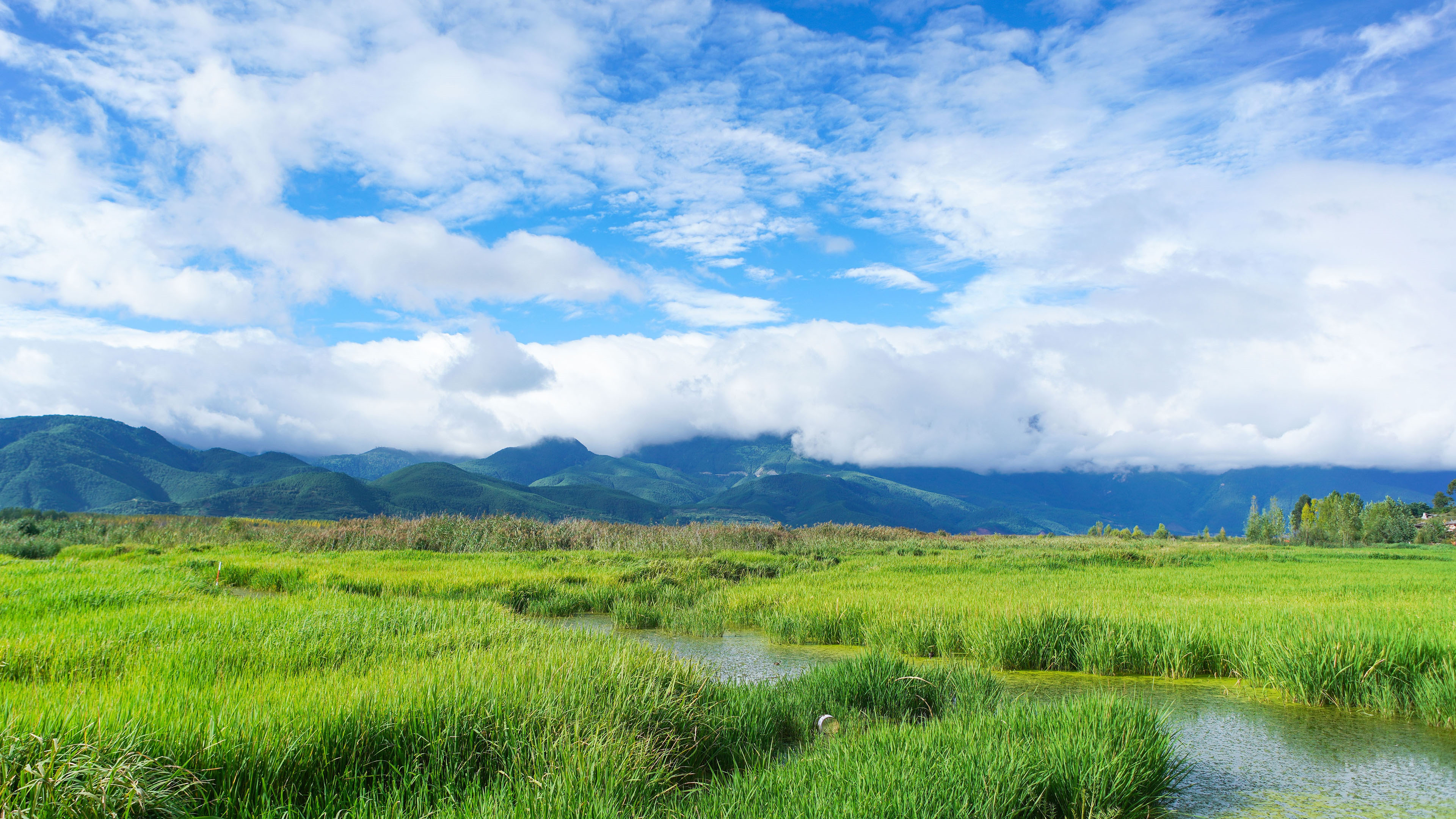 孜然粉光,平原,河流,小溪,白云