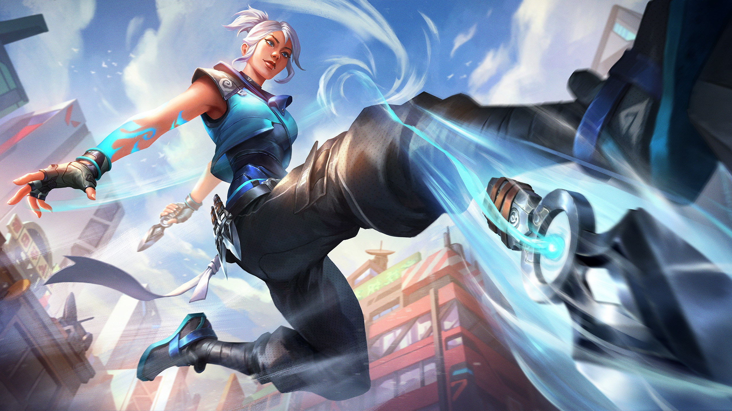 飞镖,武术,功夫