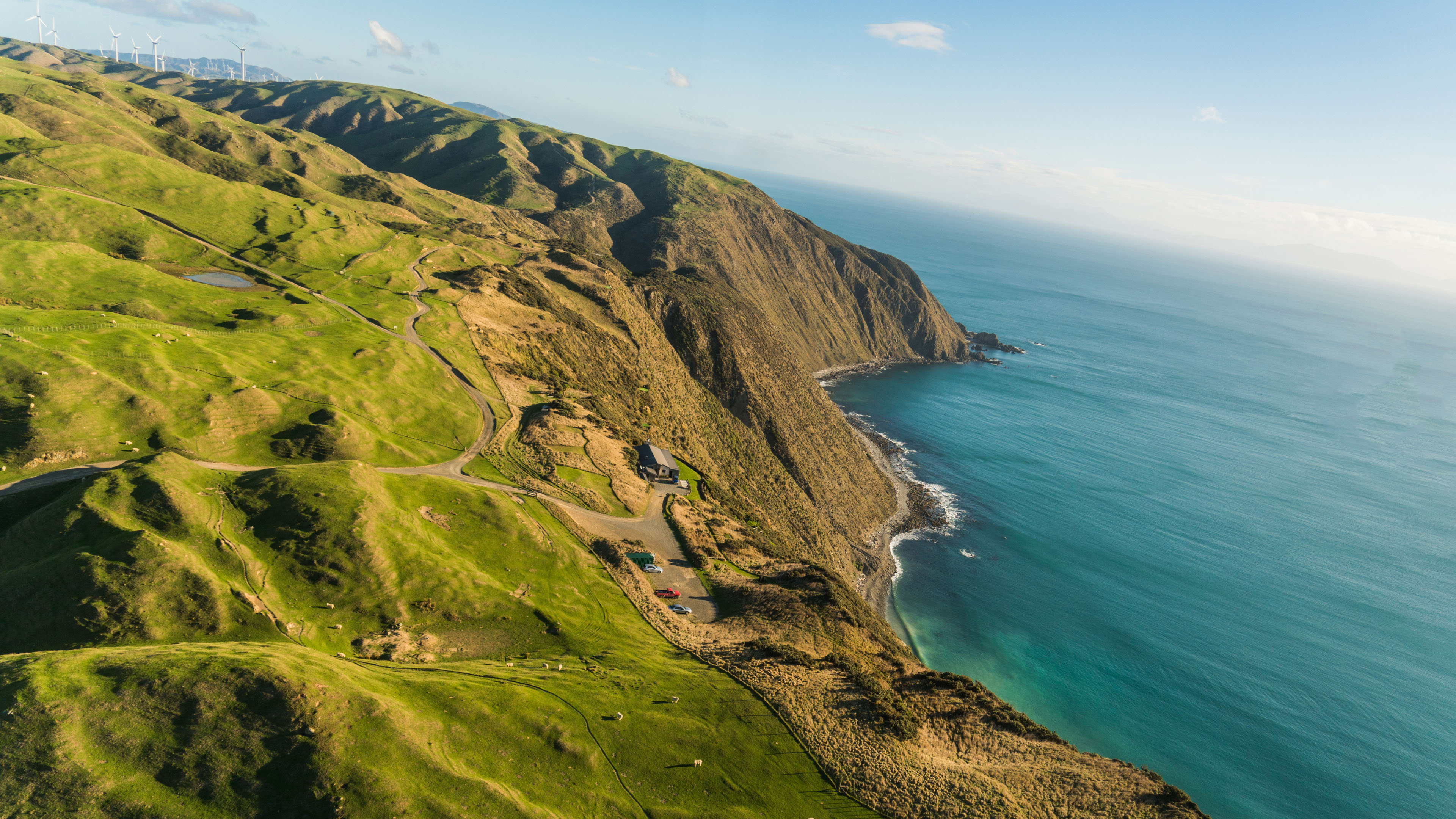 海洋天堂,新西兰,风车