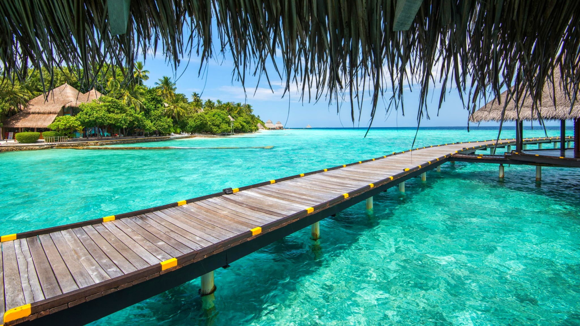 海洋天堂,热带,度假,木屋,椰树