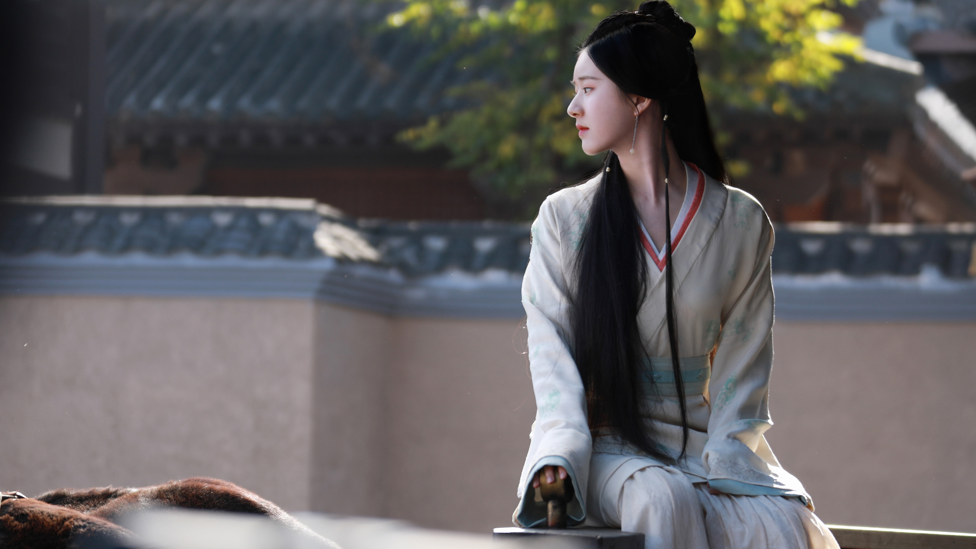 星汉灿烂,赵露思