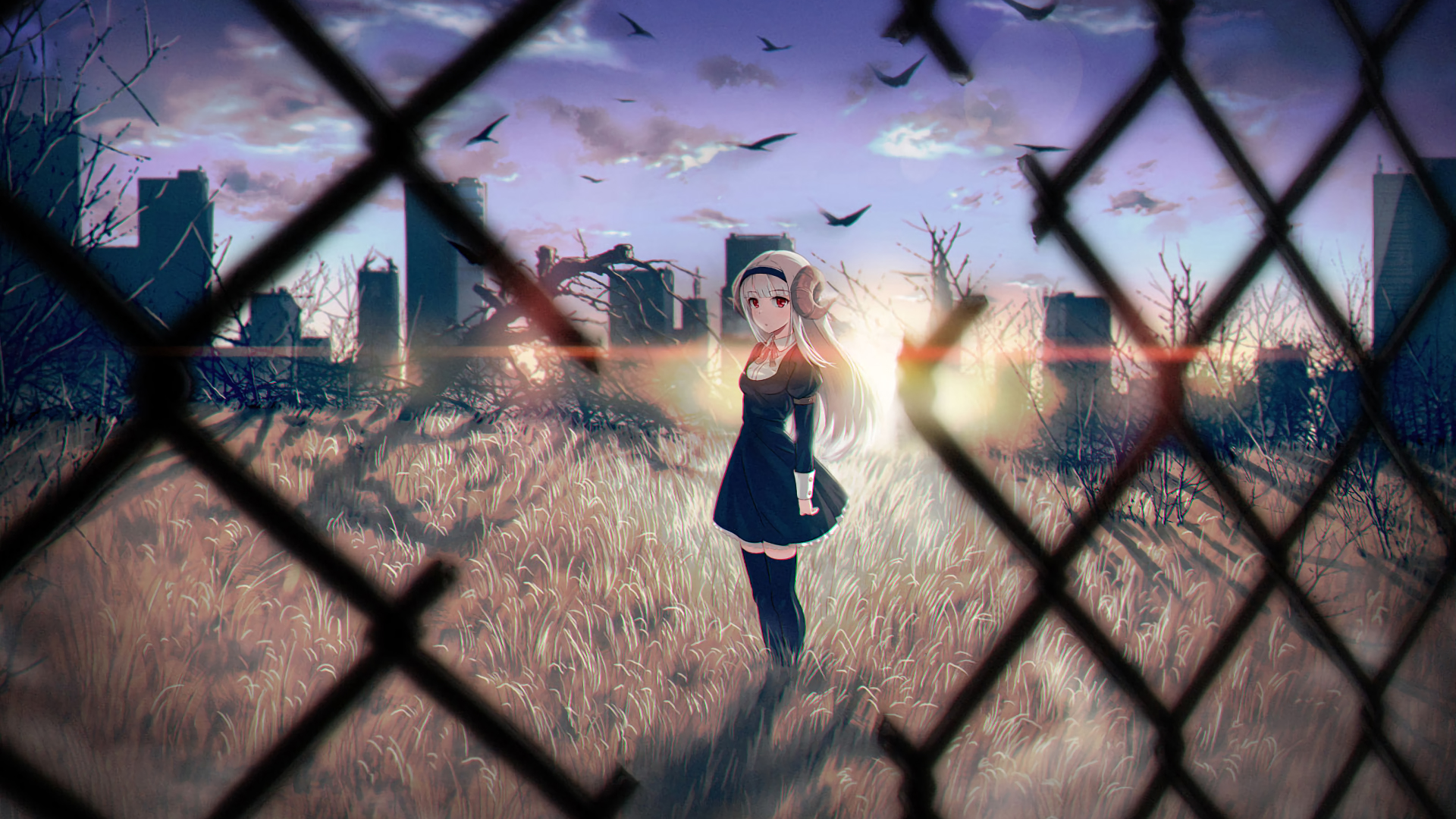 城市,乌鸦,铁丝网,黄昏