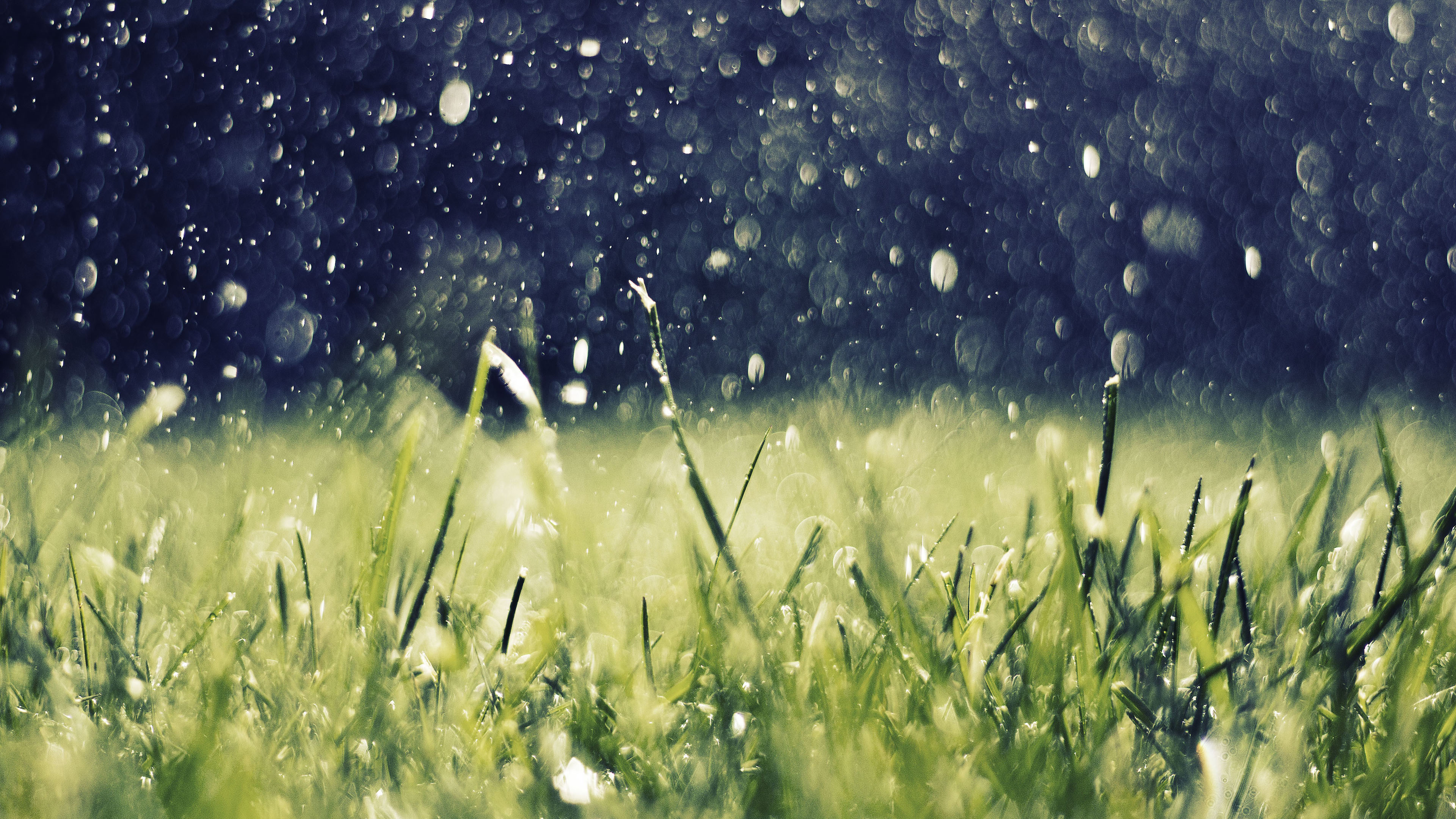 自然风光,下雨,草地,暴雨