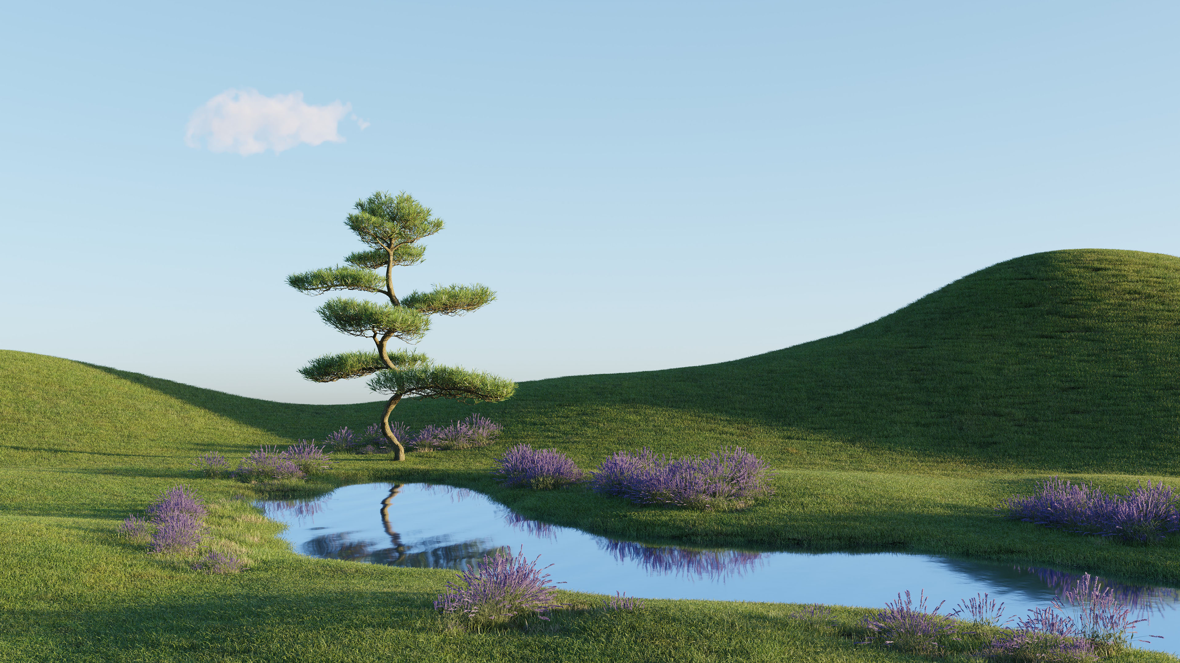 自然风光,树,经典,湖水,绿洲