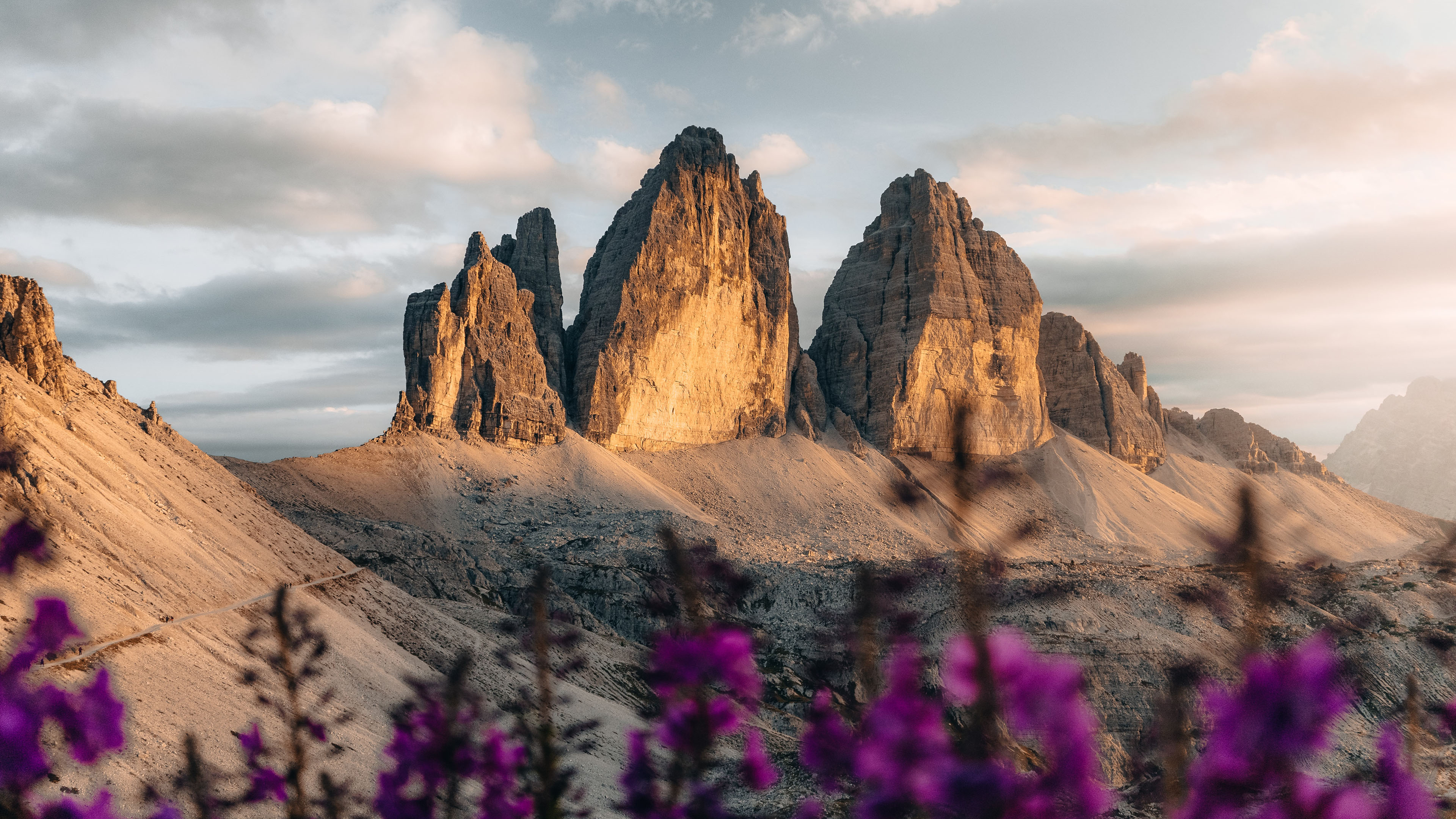 自然风光,山丘,花丛,奇特