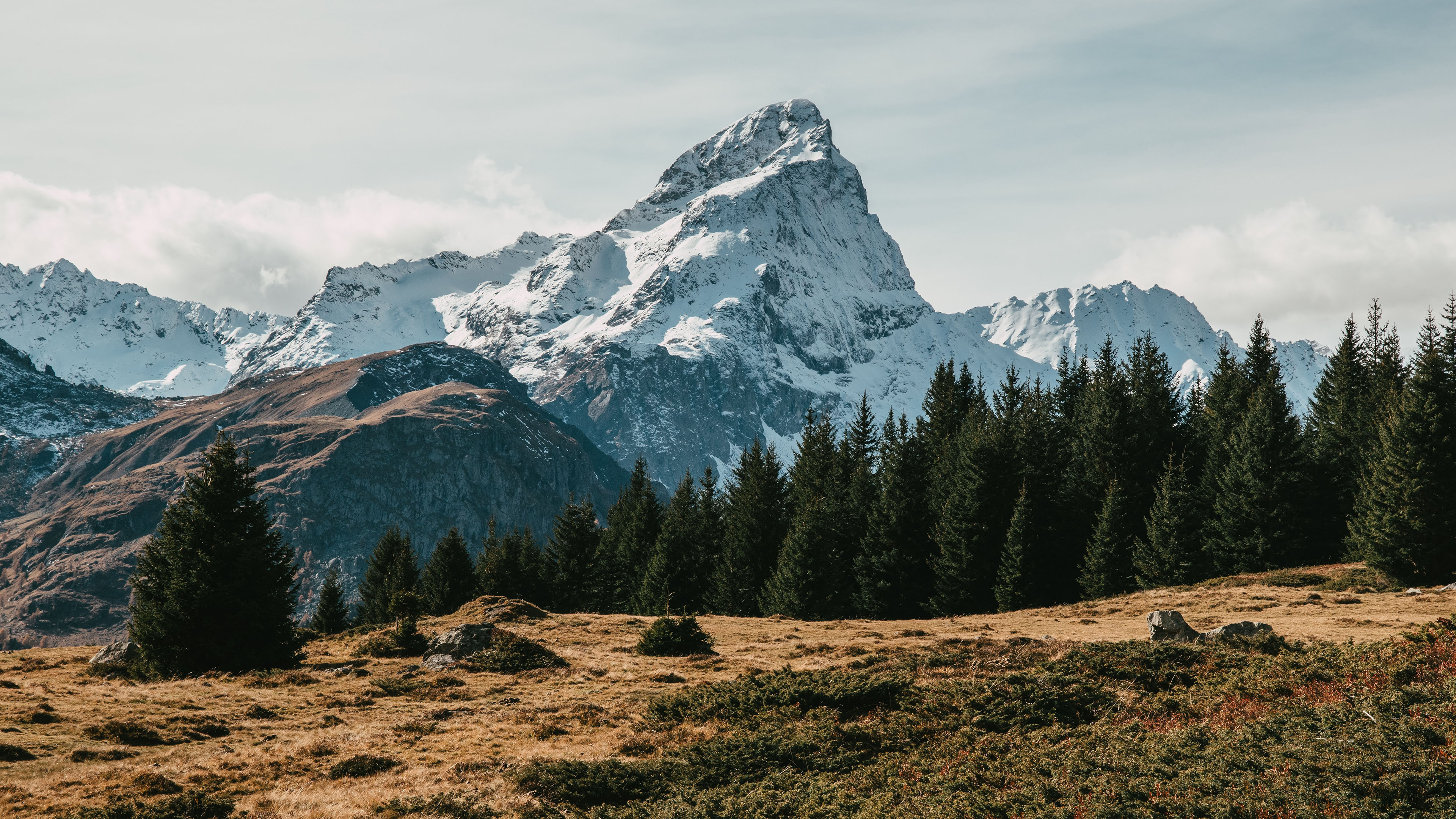 自然风光,雪山,树林,山丘