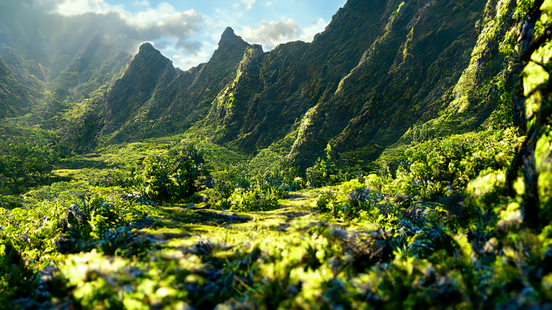 炎炎夏日,山坡,森林,盛夏