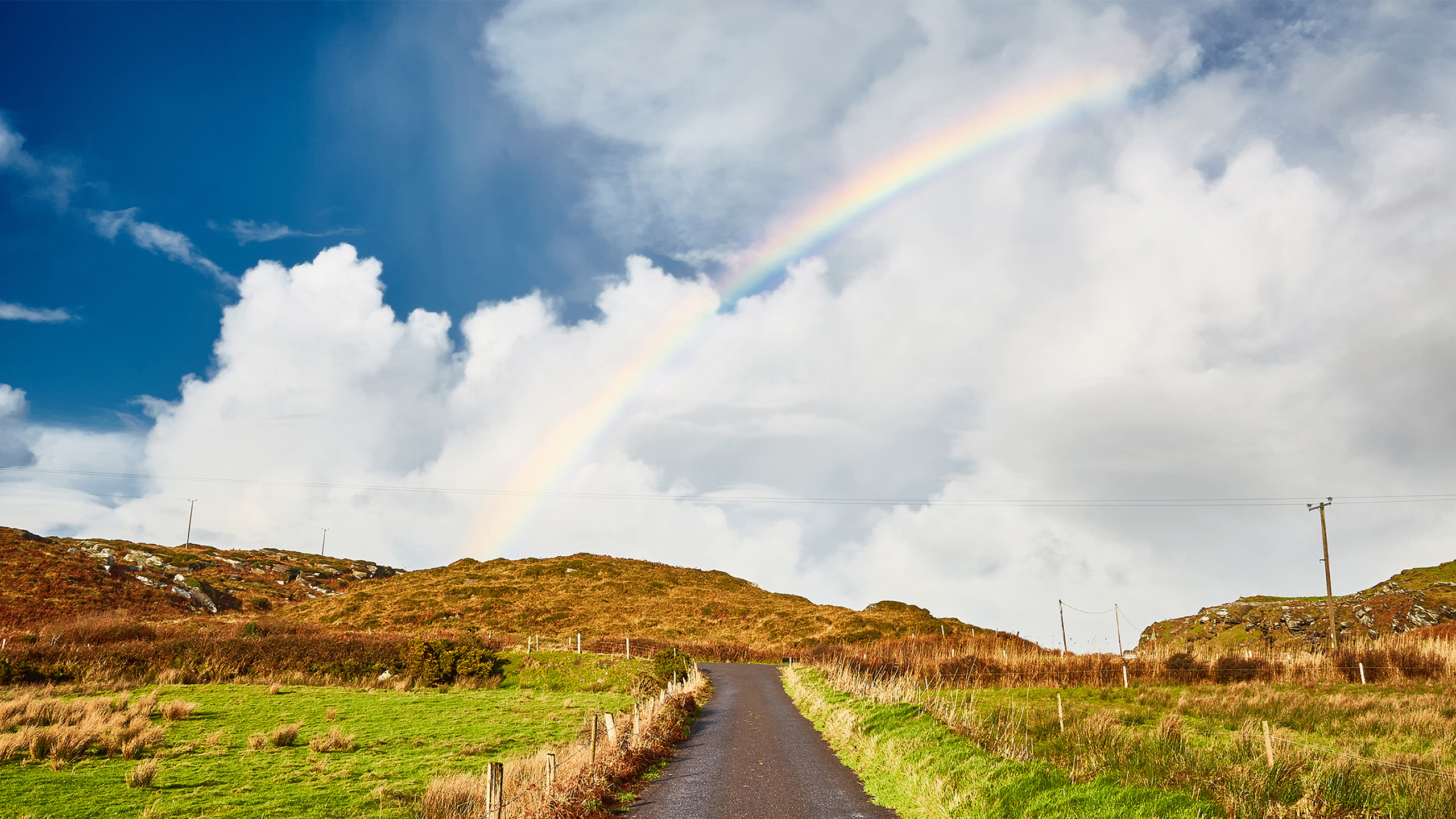自然风光,彩虹,公路,草场,白云