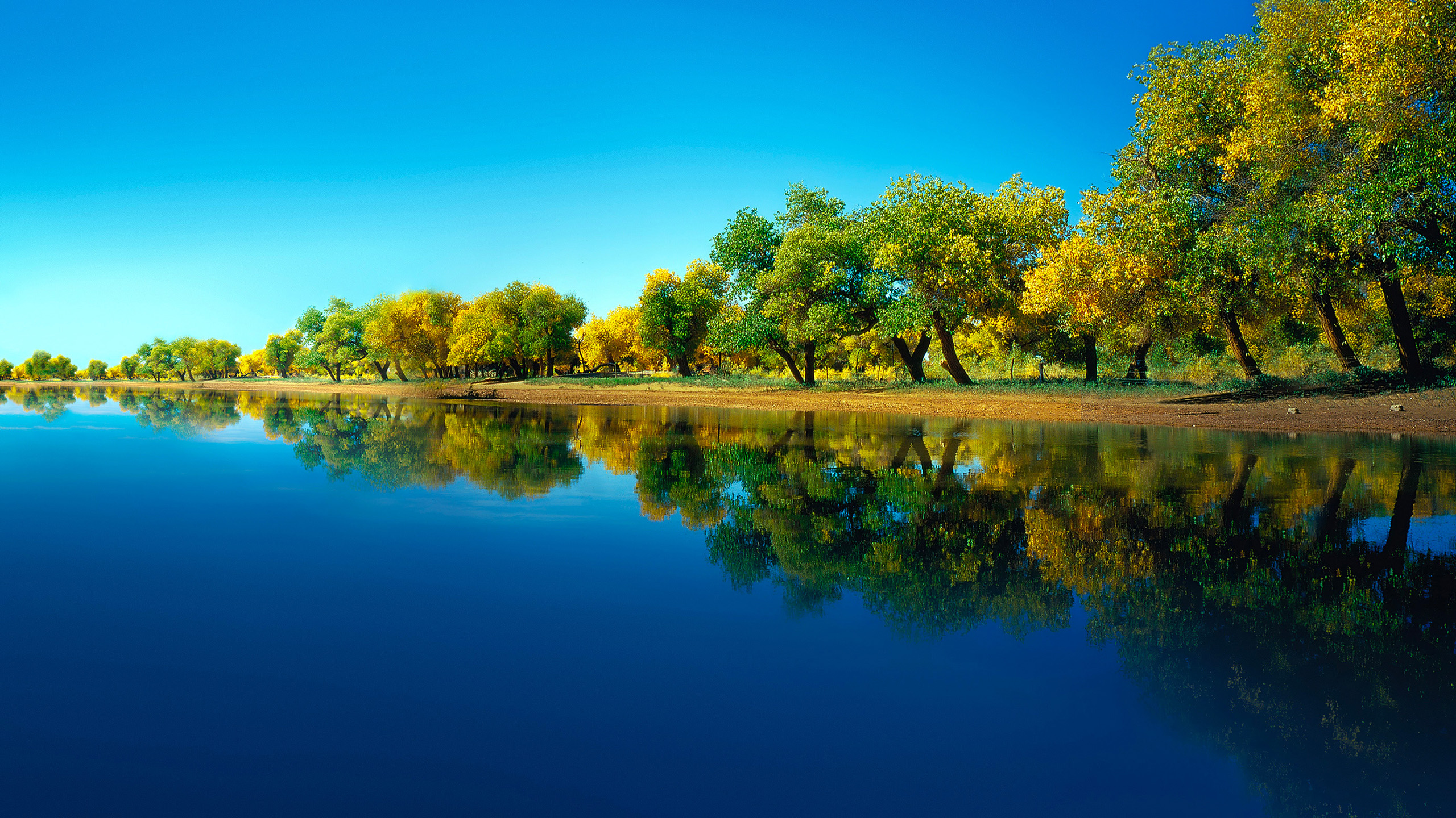 蓝天,湖水,树,倒影