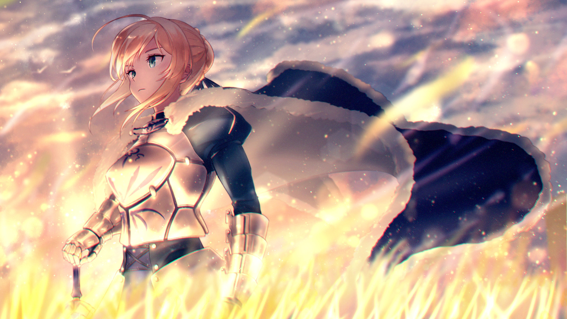 fate,吾王,骑士,金光