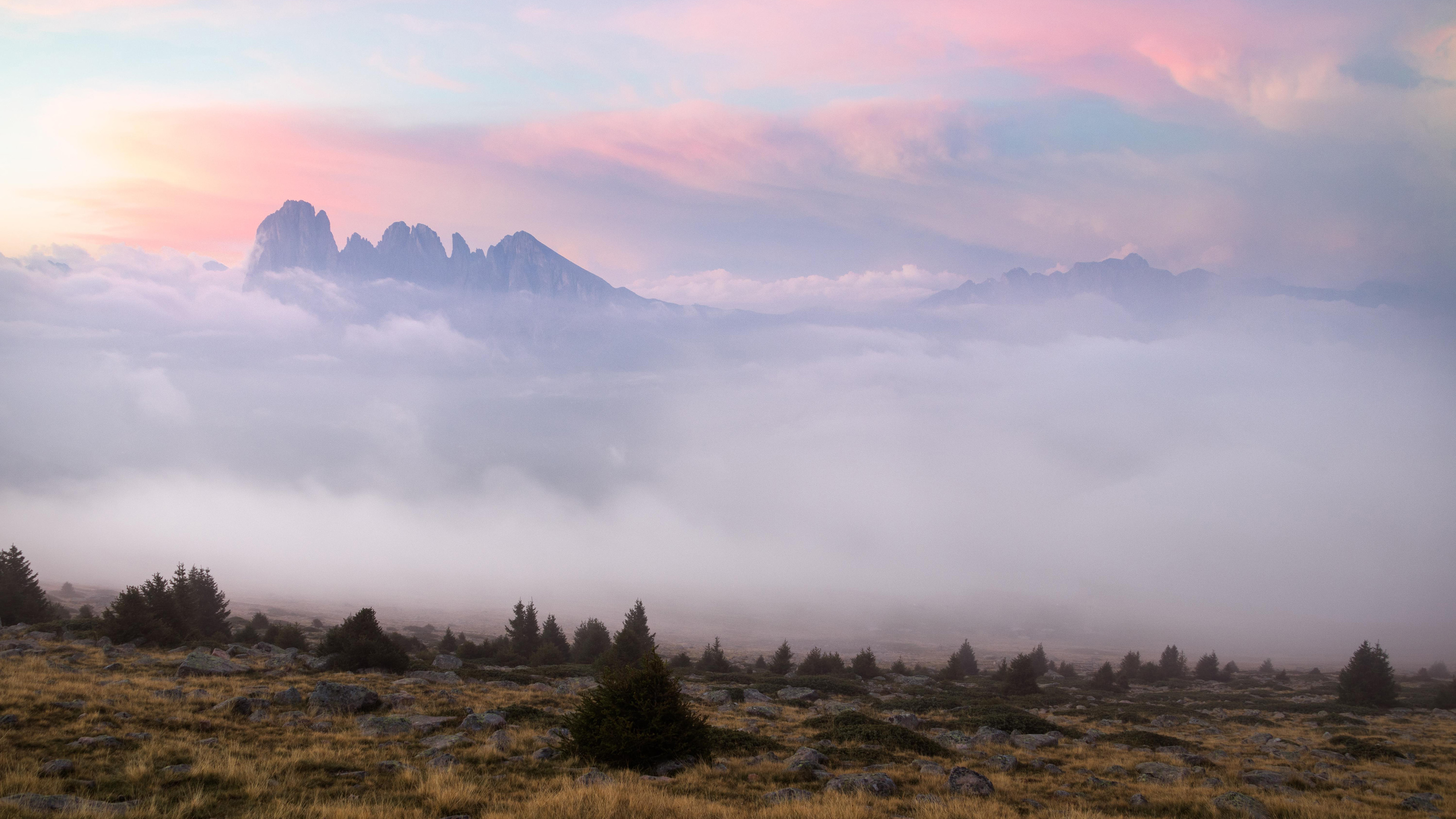 自然风光,草原,迷雾,神秘,清晨