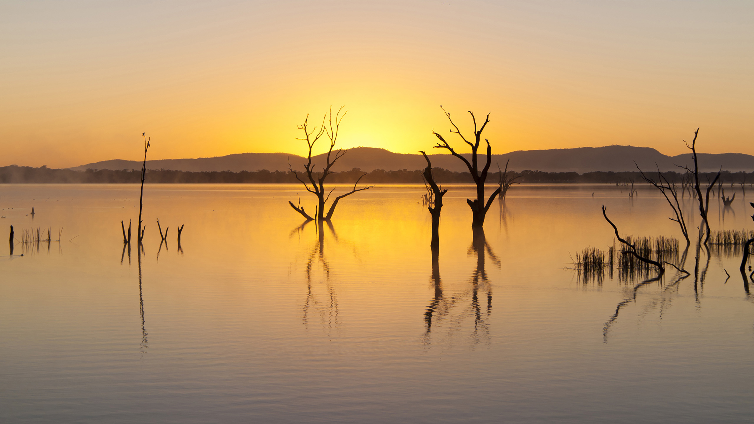 落日余晖,倒影,树枝