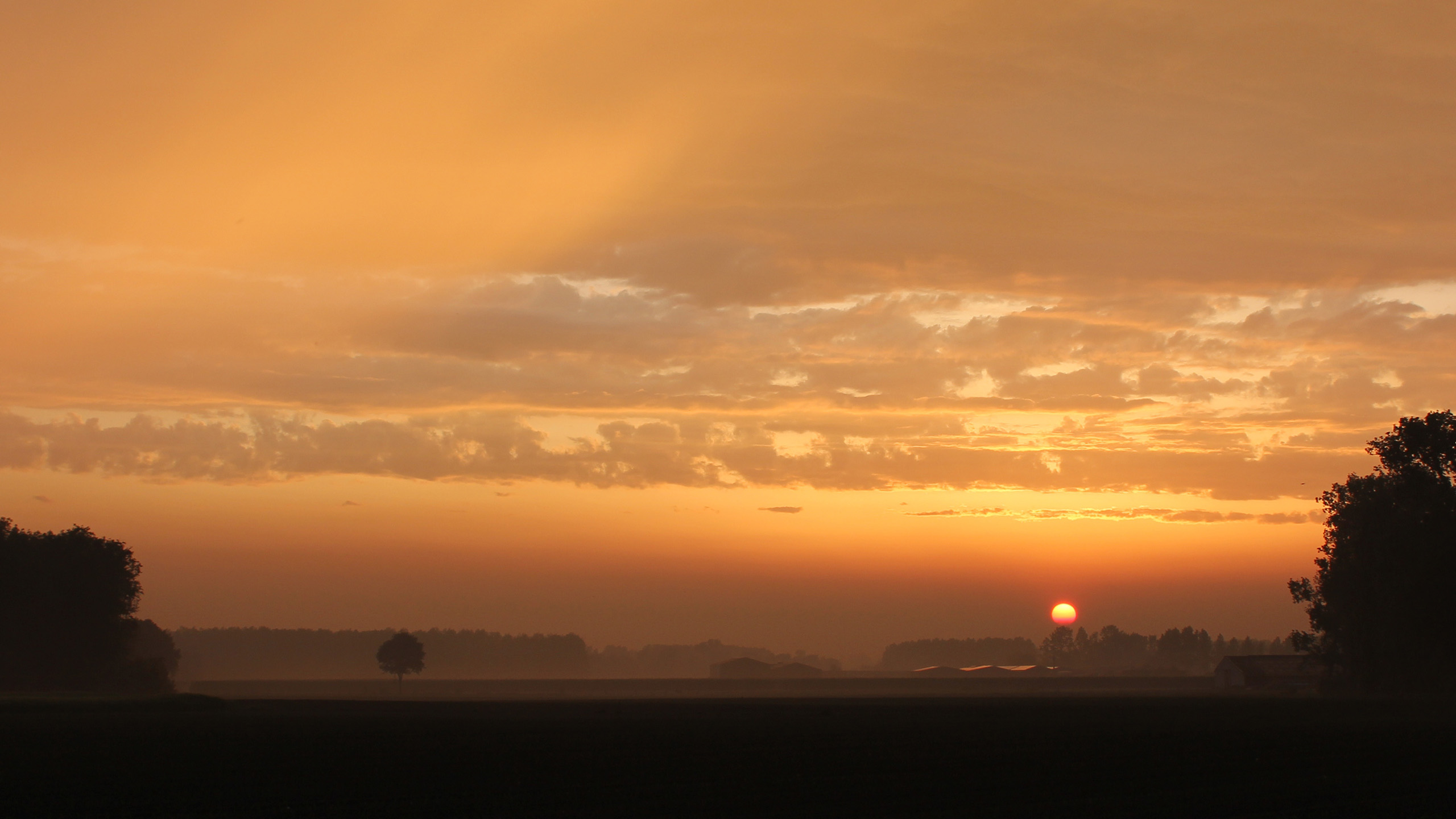 自然风光,日出,草原,红日,金光万丈