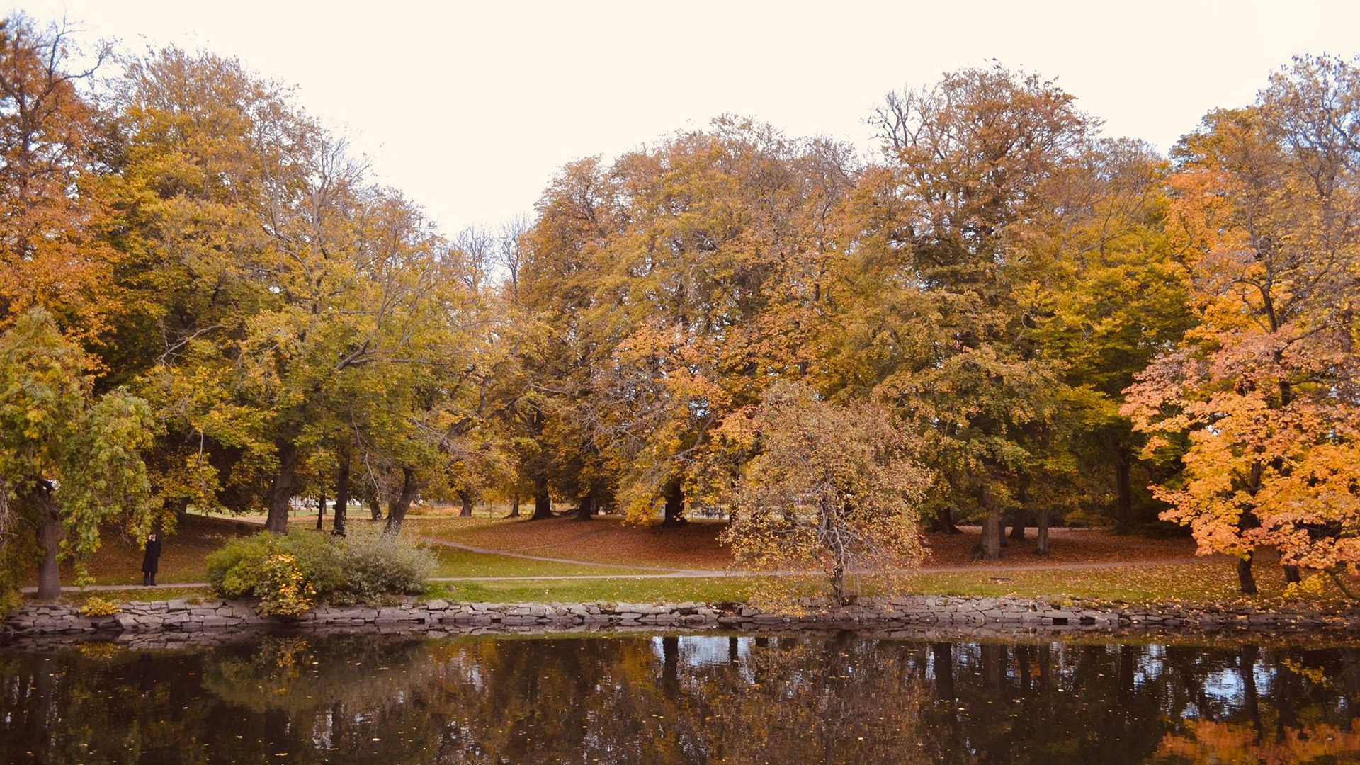 秋意正浓,倒影,公园,湖水