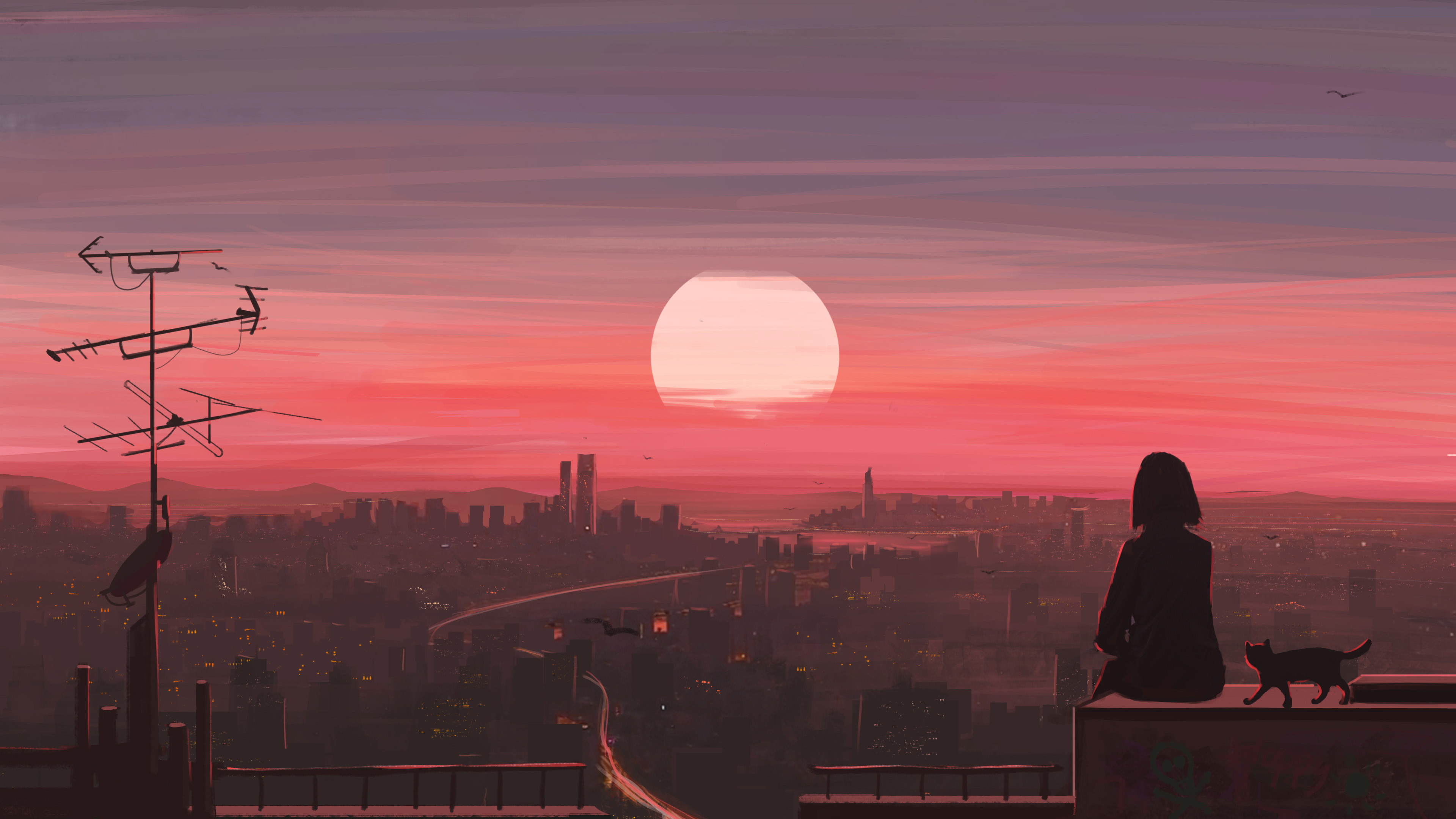 夕阳,日落,红霞,猫咪,天线