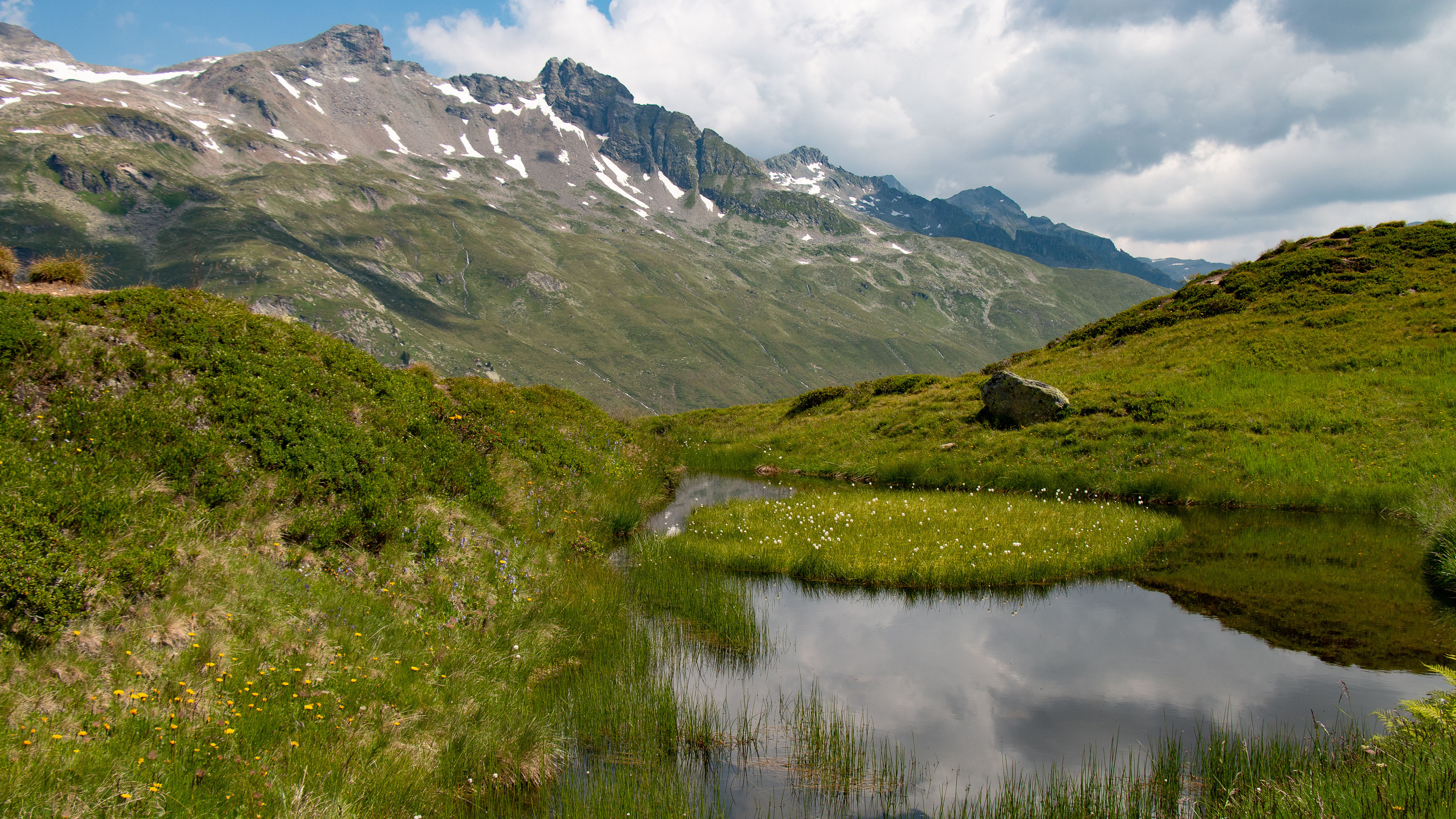 自然风光,草地,雪山,倒影