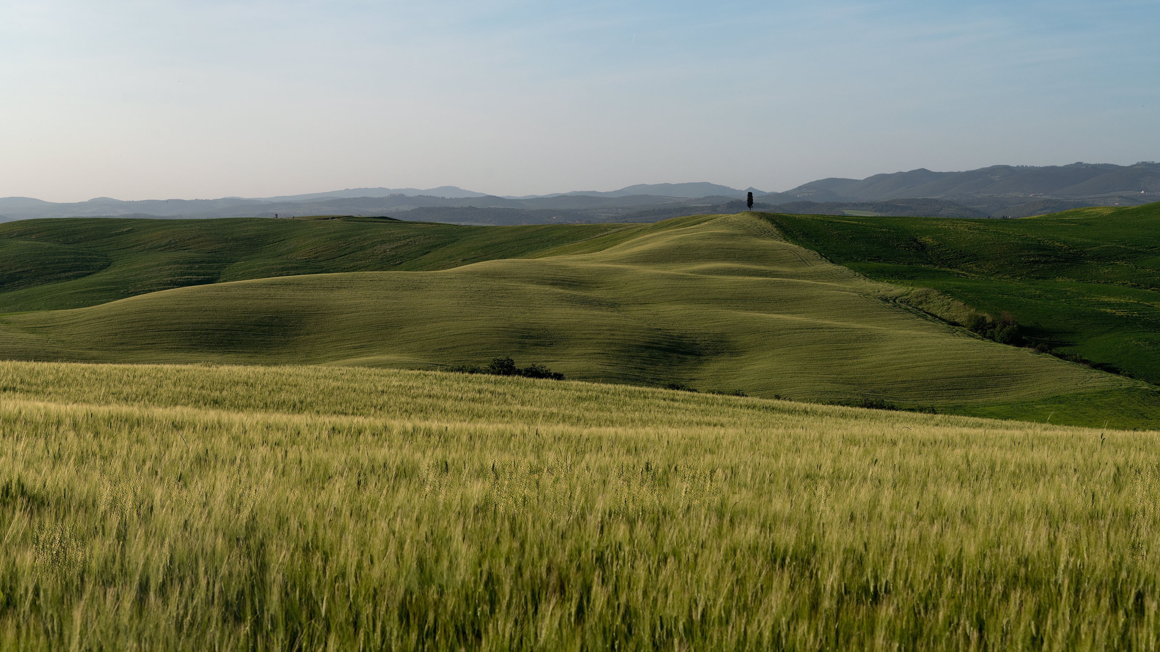 自然风光,草原,山坡,旷野,一望无际