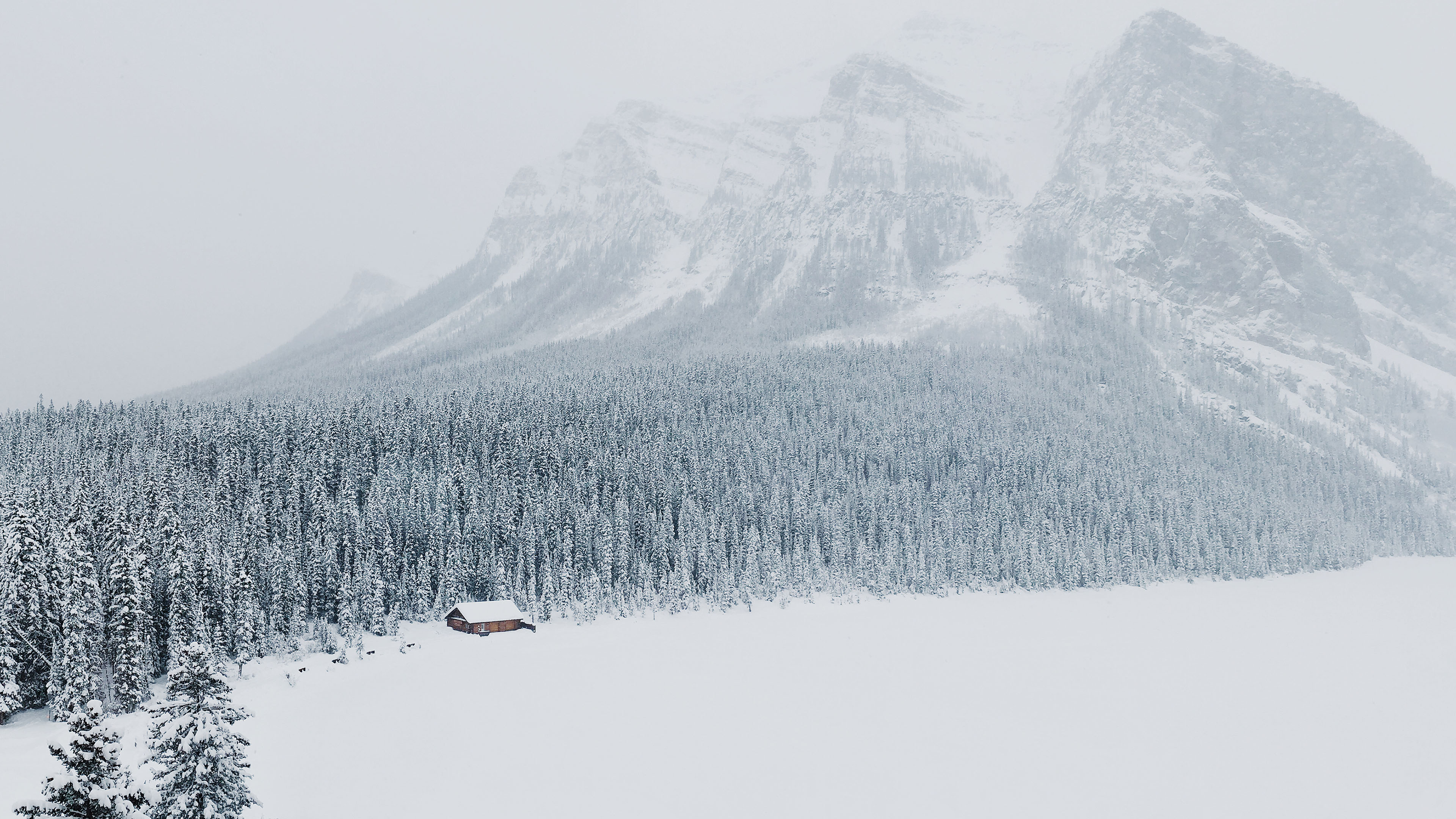 冰天雪地,雪山,树林,小屋