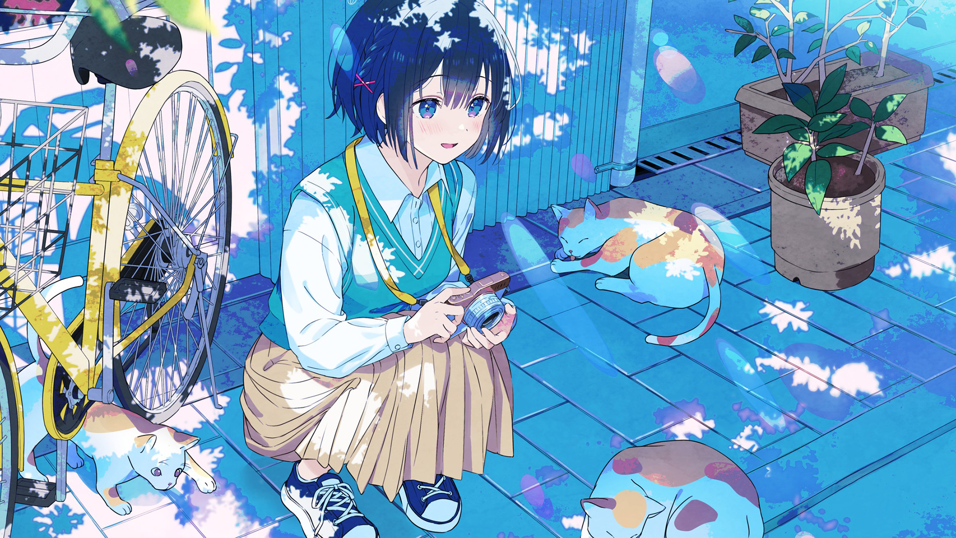 猫咪,自行车,照相机,短发女孩,夏天