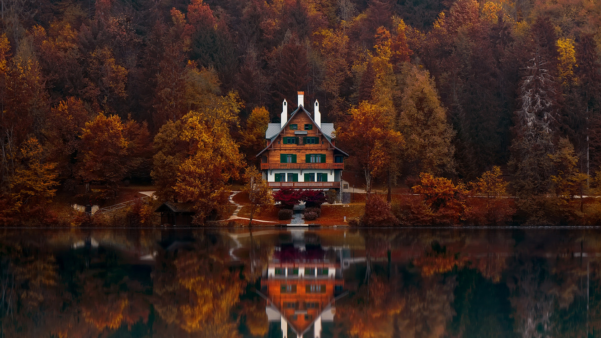 秋意正浓,倒影,红树林