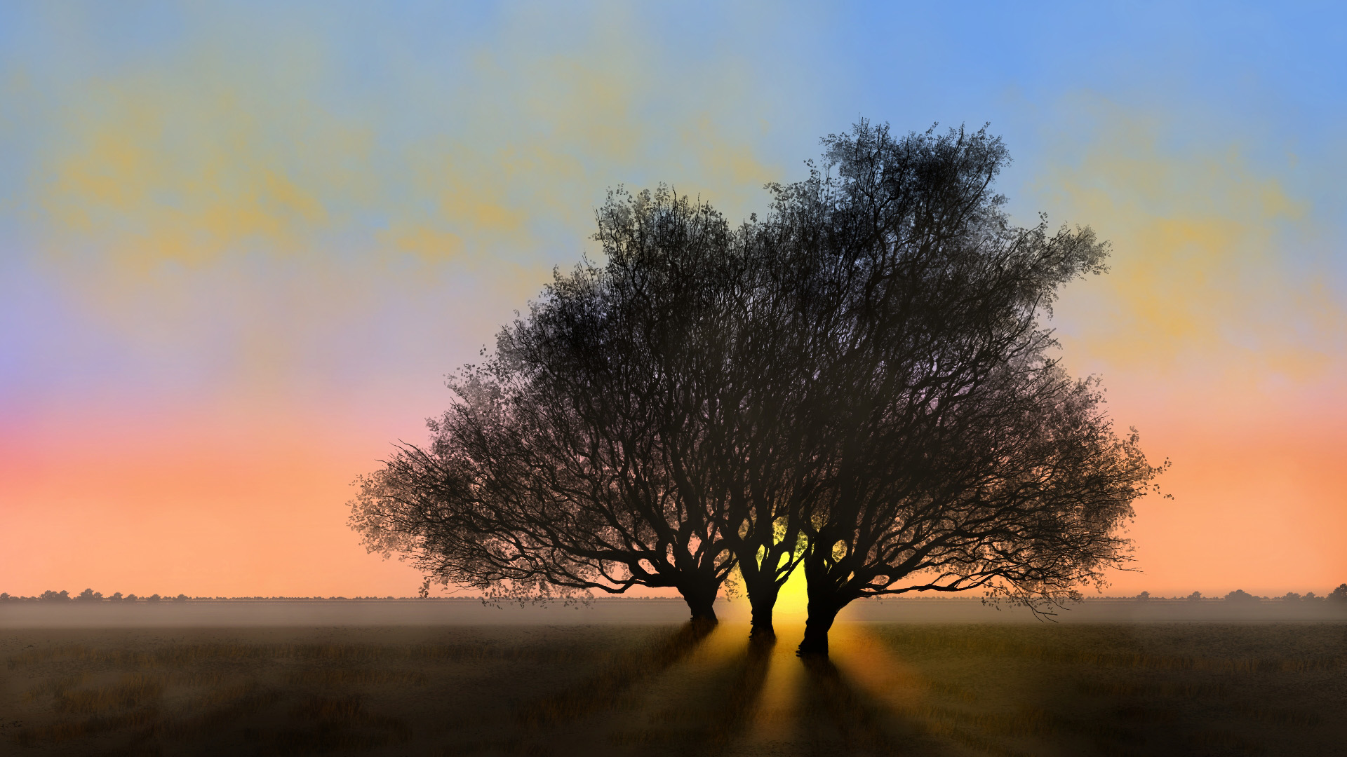 自然风光,日出,太阳,草原,希望