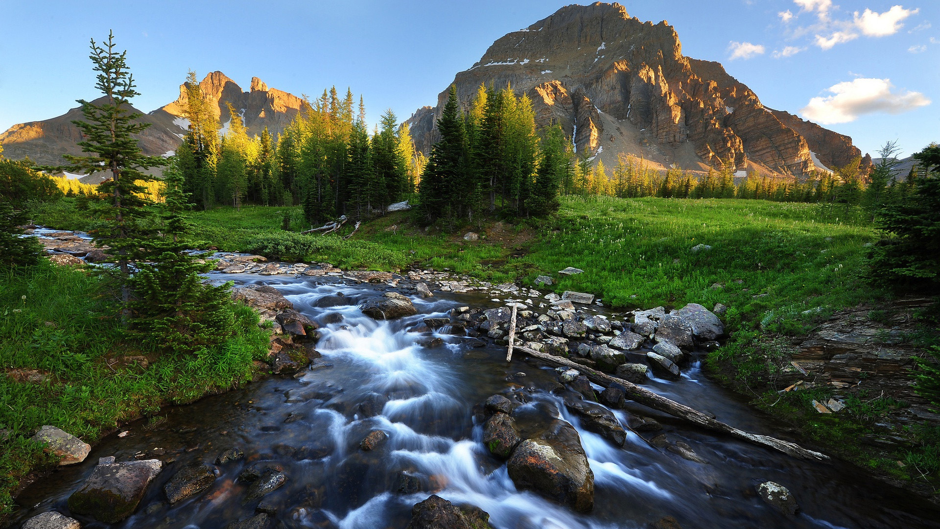 河流,野外,树林,大自然
