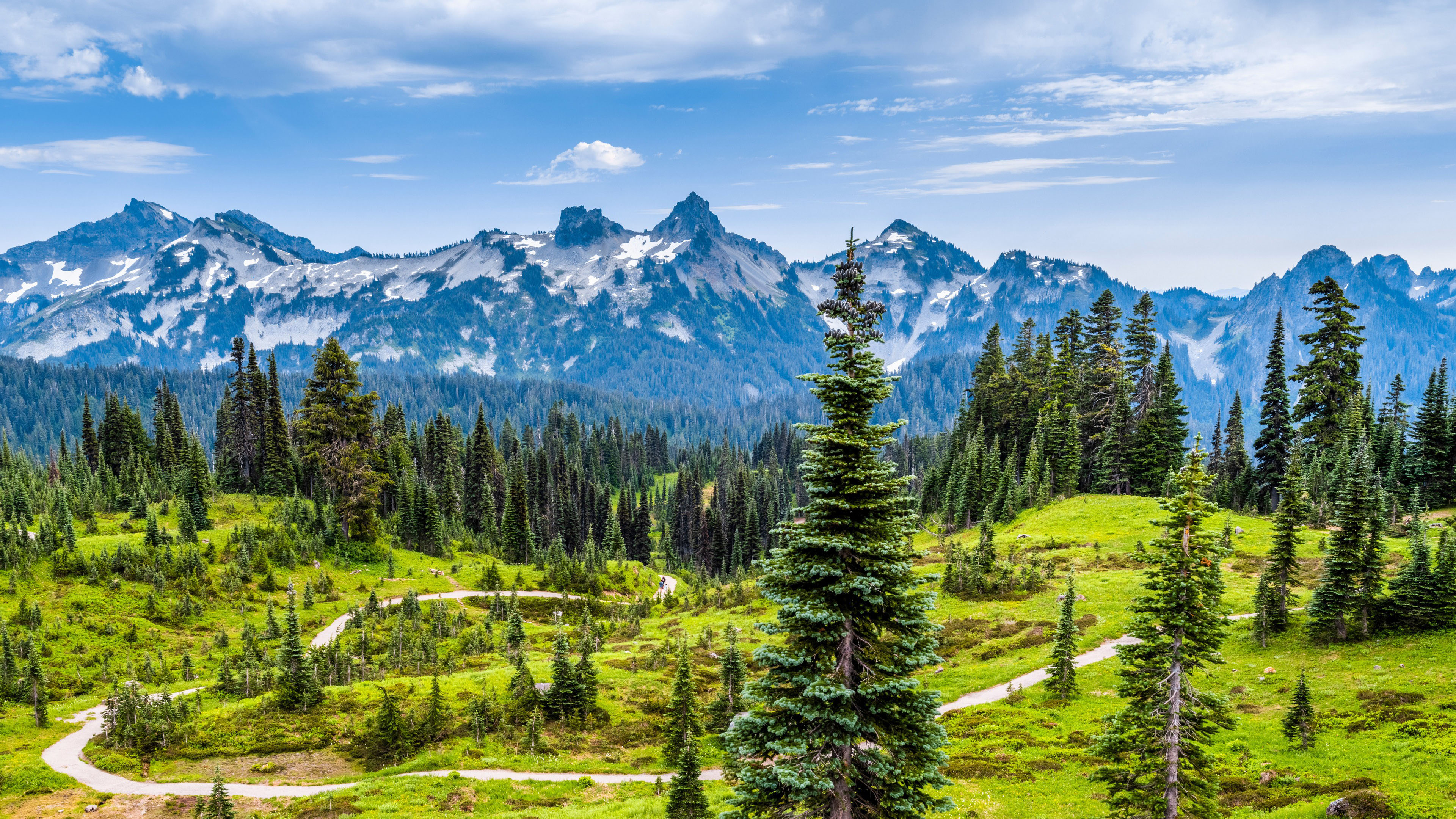 自然风光,山坡,雪山,蜿蜒