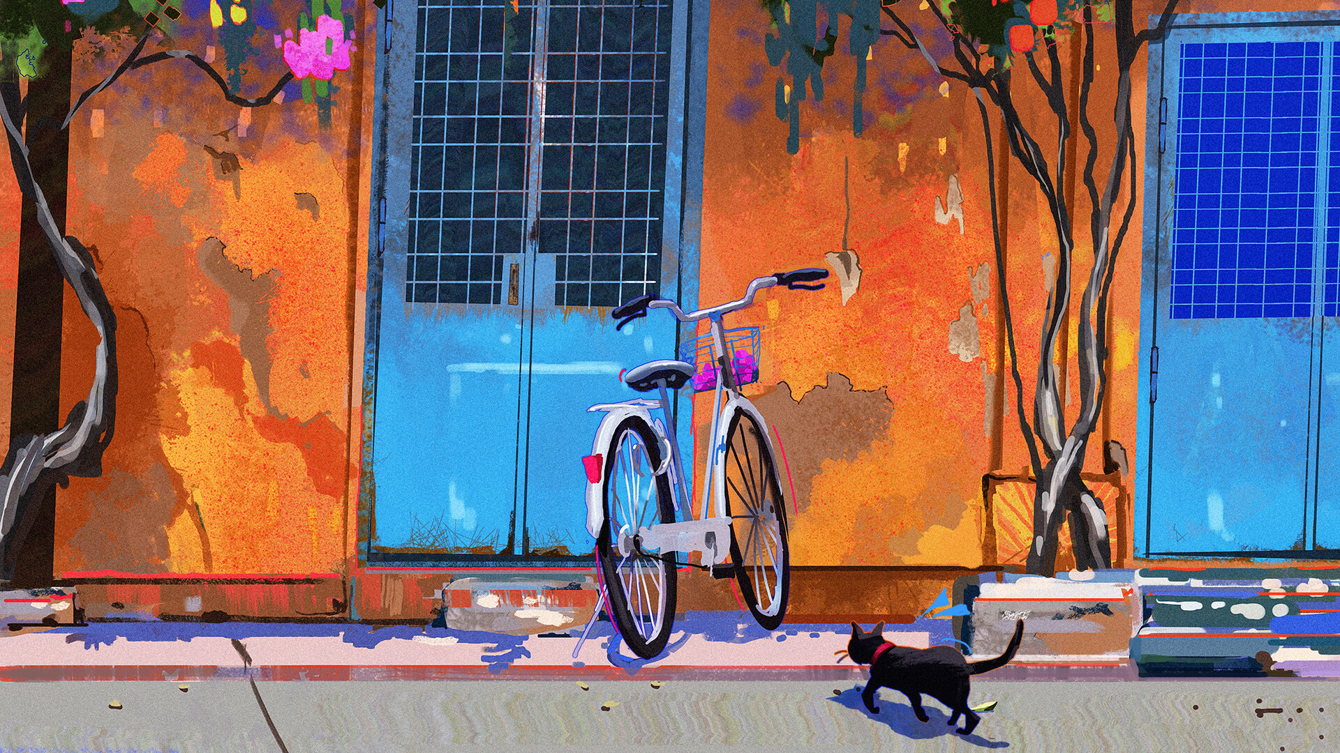 自行车,小黑猫,街道,光影