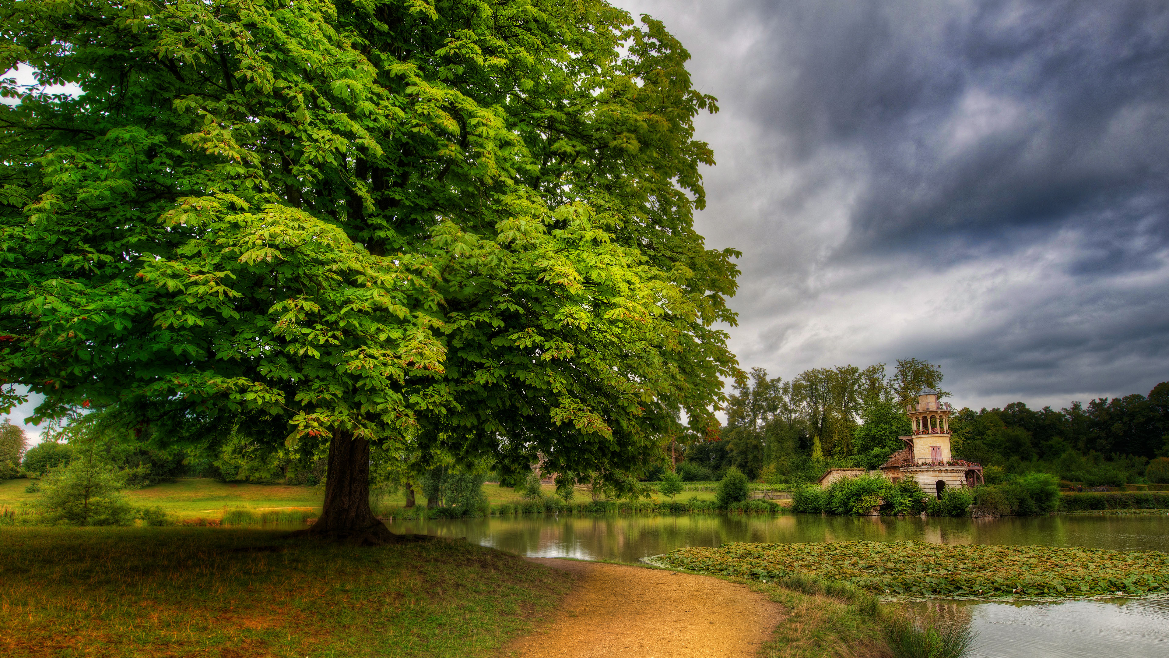 自然风光,湖畔,茂盛