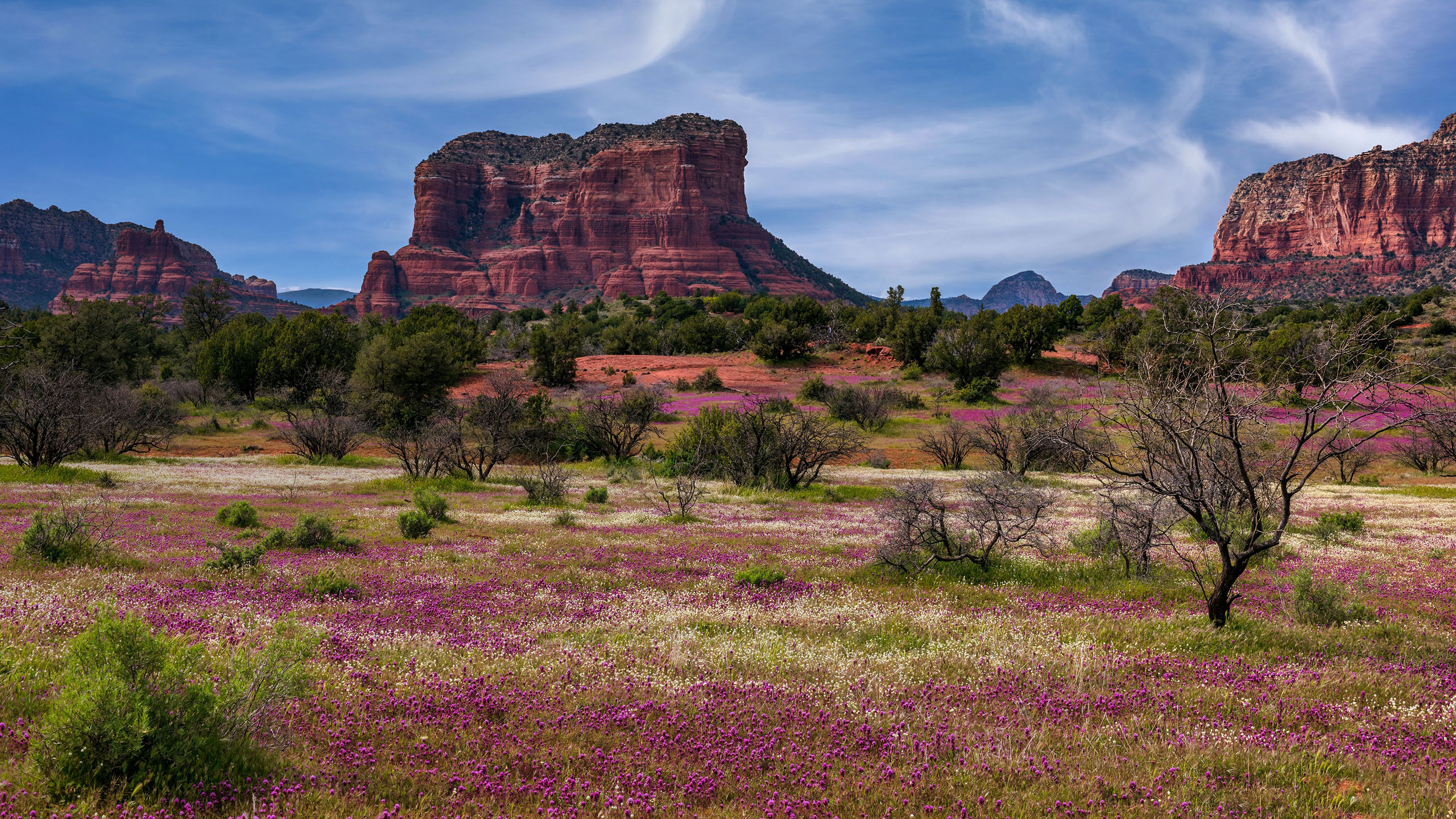自然风光,草原,山丘