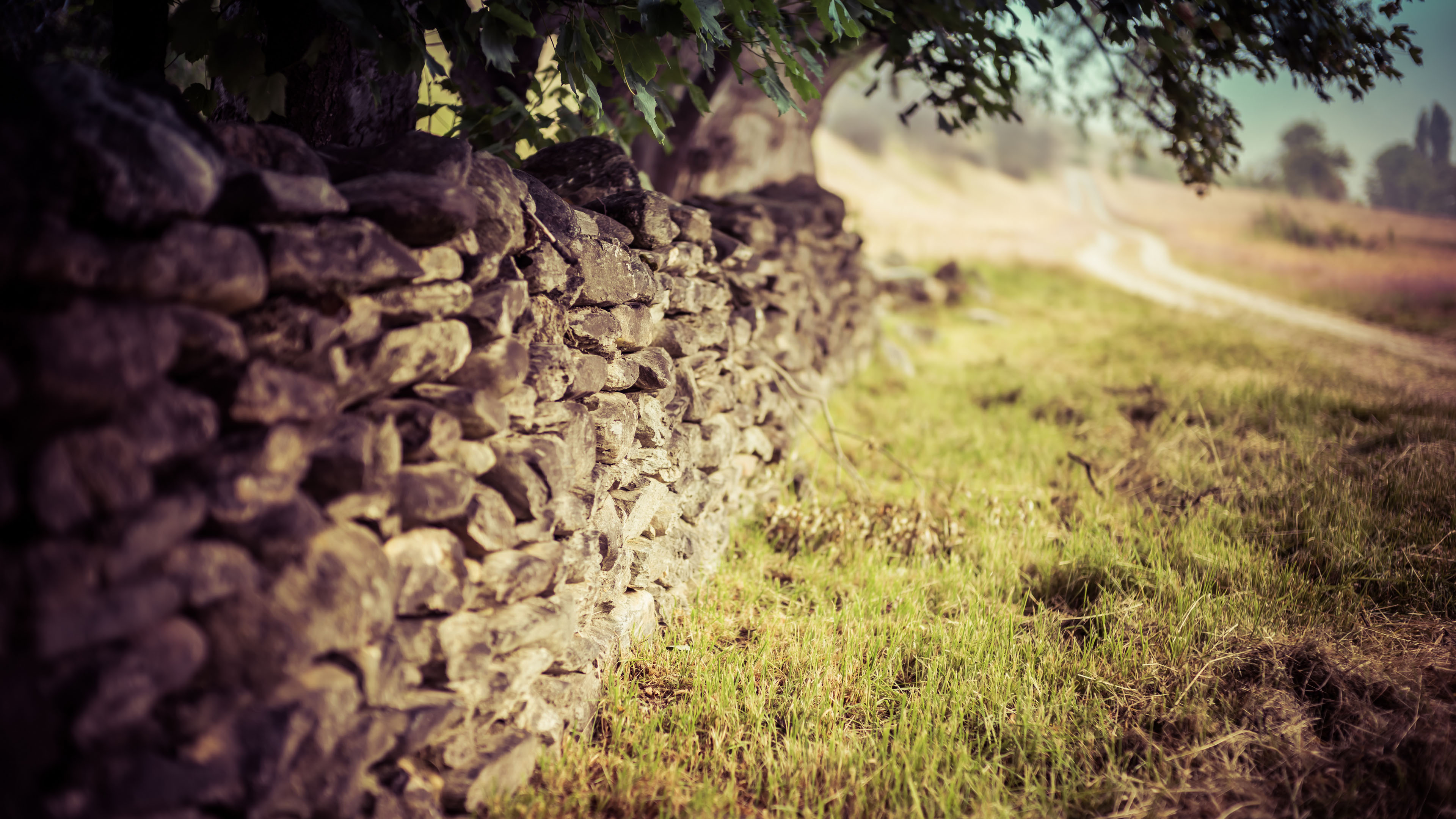 自然风光,石墙,草地