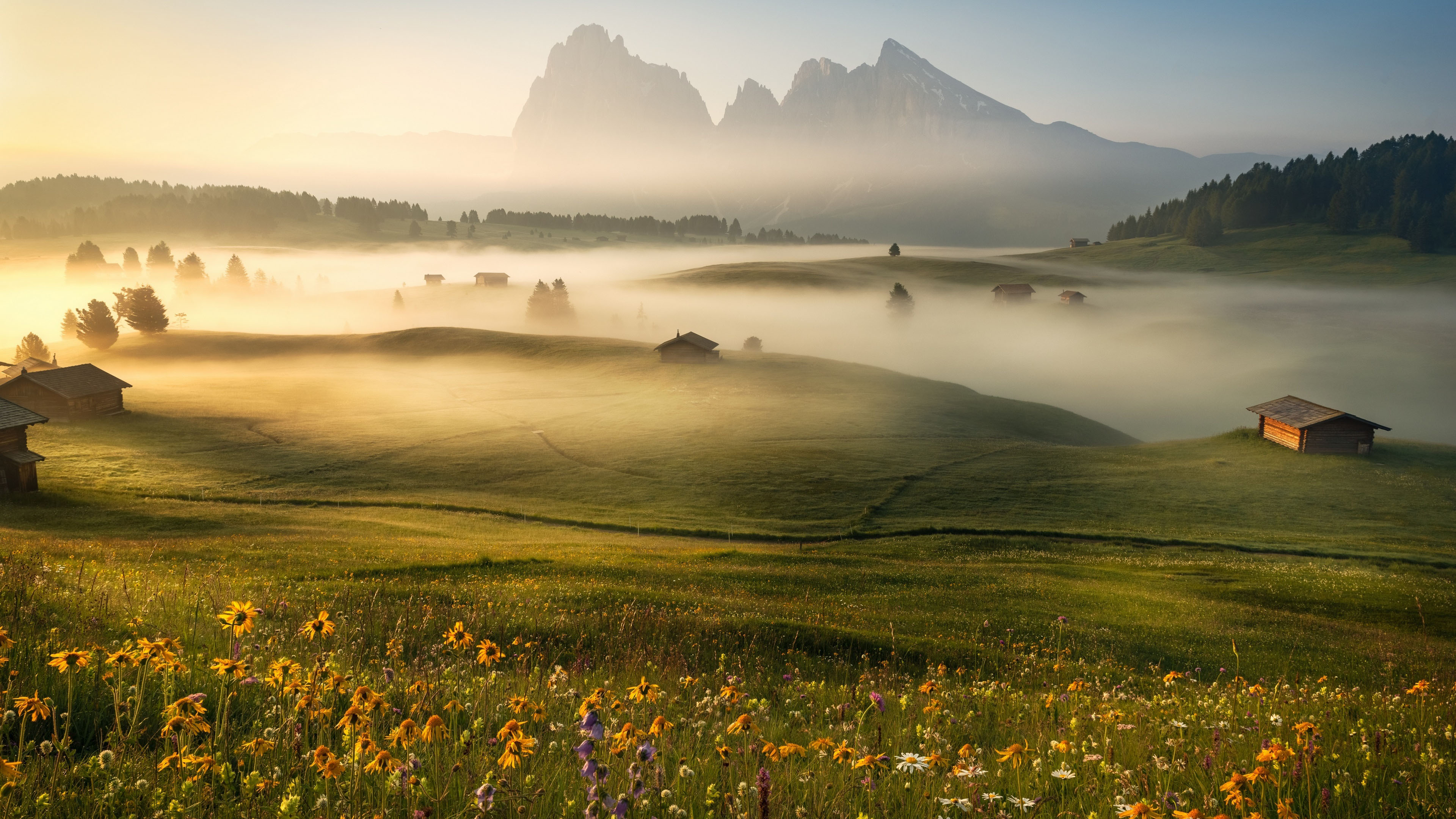 自然风光,雾,村庄,平原