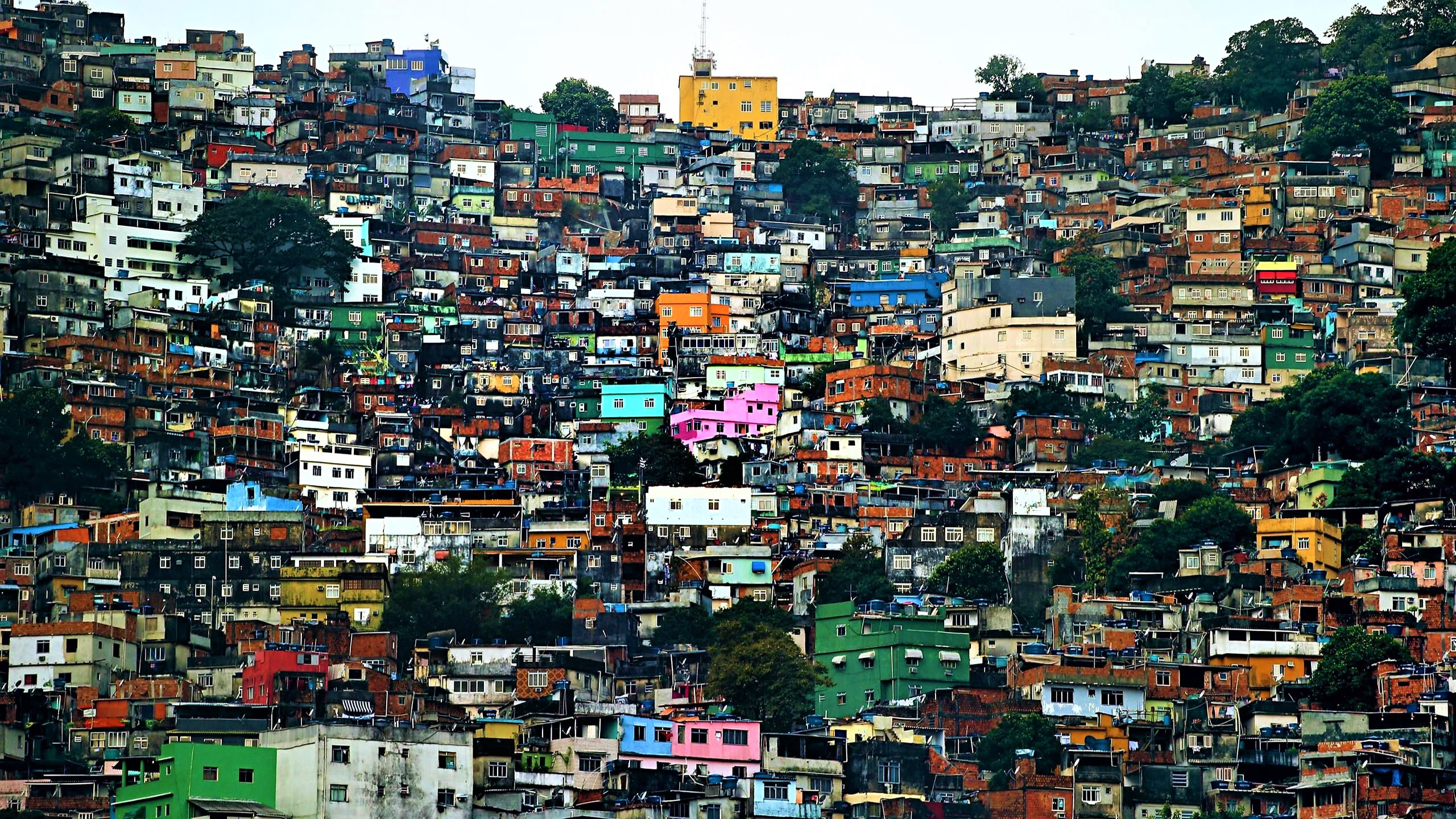 居民区,密密麻麻,房屋