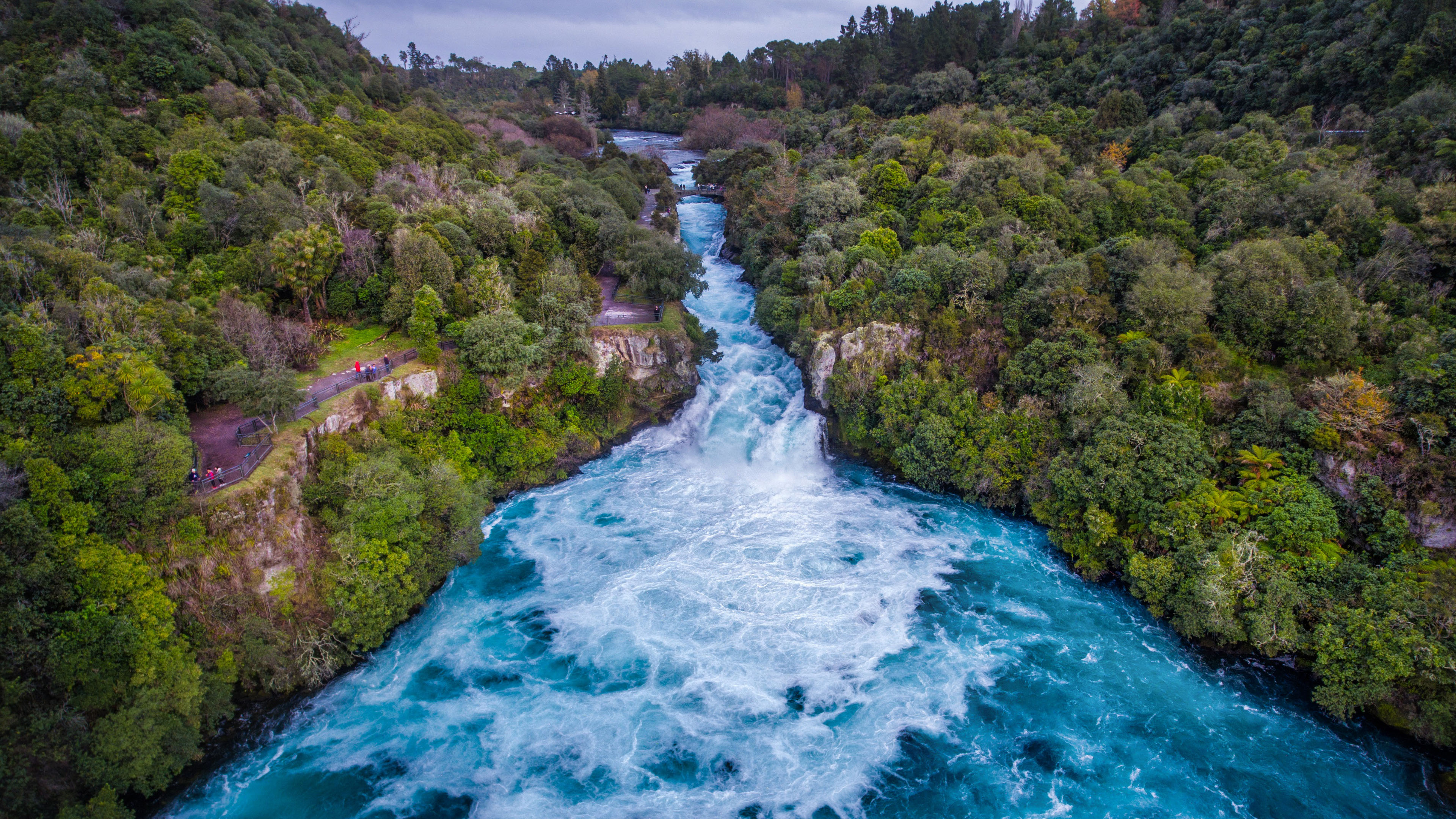 自然风光,森林,大河,汹涌